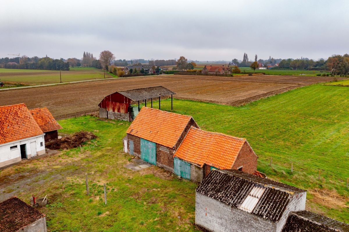 Hoevetje op 2 ha 67 are te koop te Kruisem foto 4