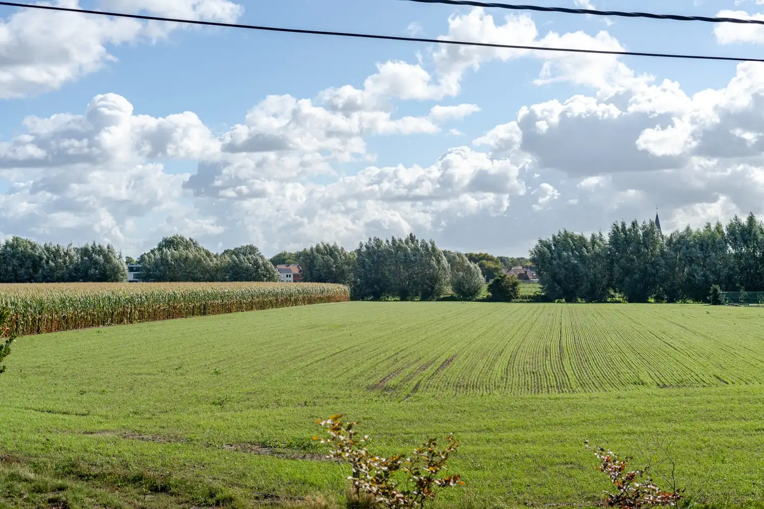Prachtige woning met landelijk karakter te Wielsbeke. foto 39
