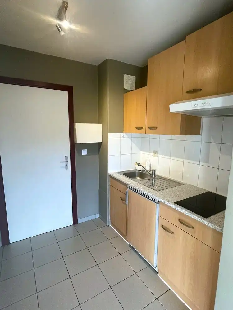 Deels gemeubelde studio met zonnig terras foto 2