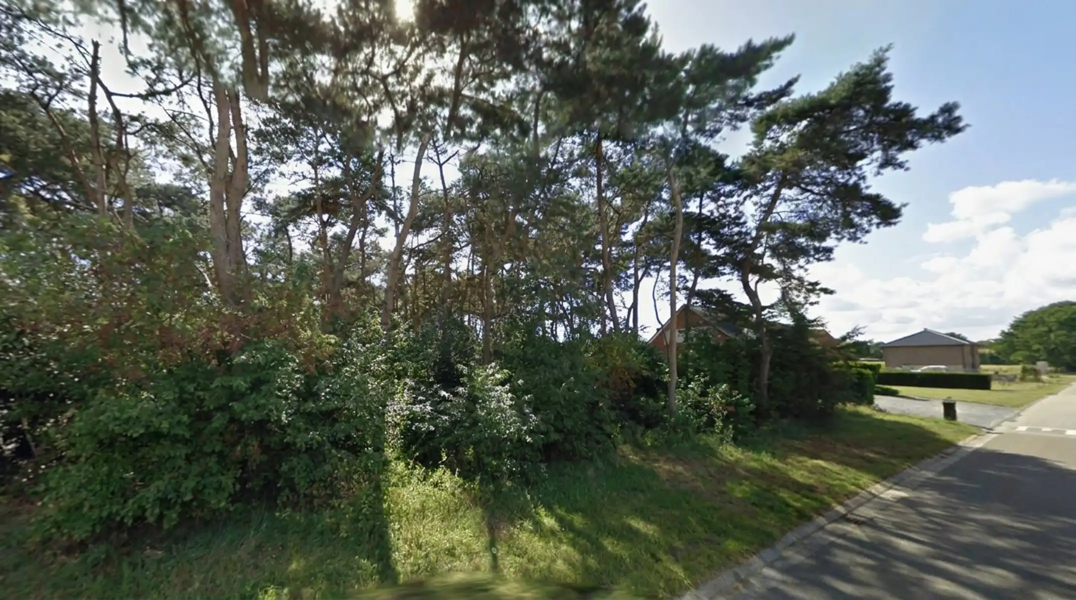 Bosgrond gelegen aan Molenveld - Balen  foto {{pictureIndex}}