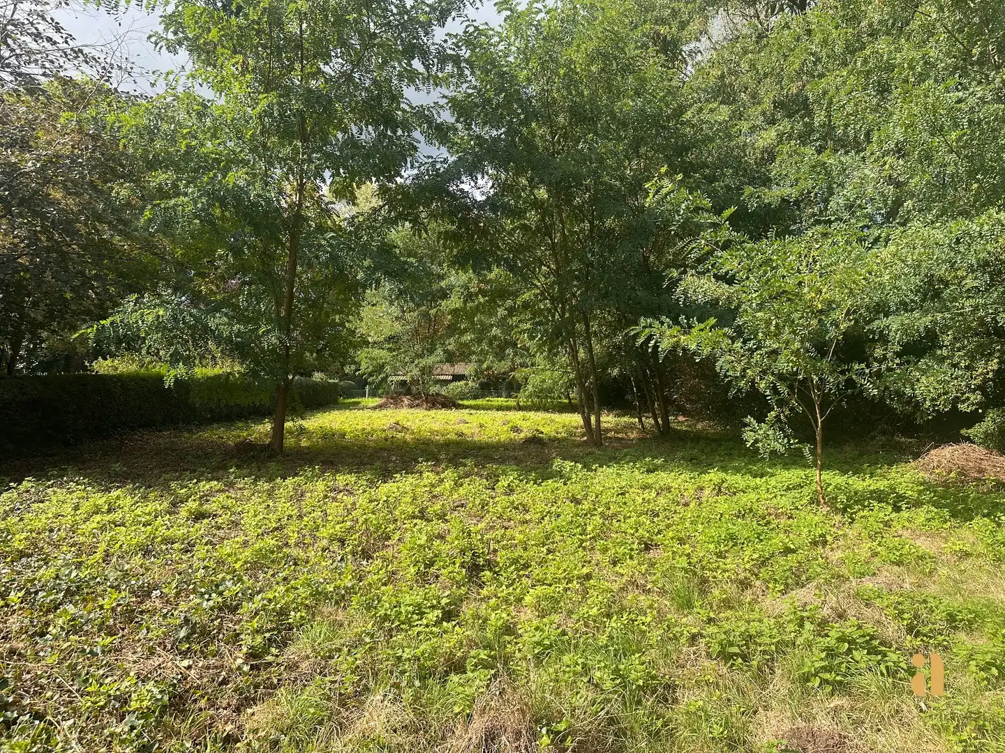 Karaktervolle renovatieparel op prachtig groen perceel foto 9