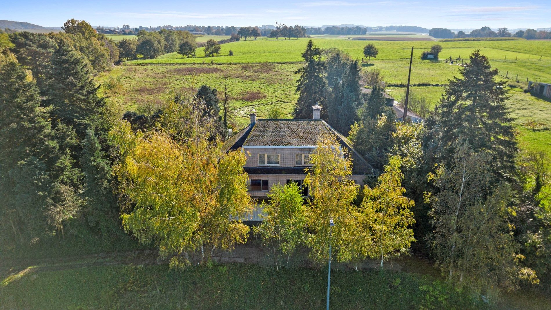 HOLSBEEK - projectgrond +1 hectare foto 7