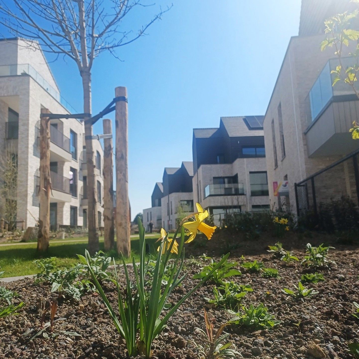 Gelijkvloers nieuwbouwappartement Agnetenpark-eigen tuintje  foto 5