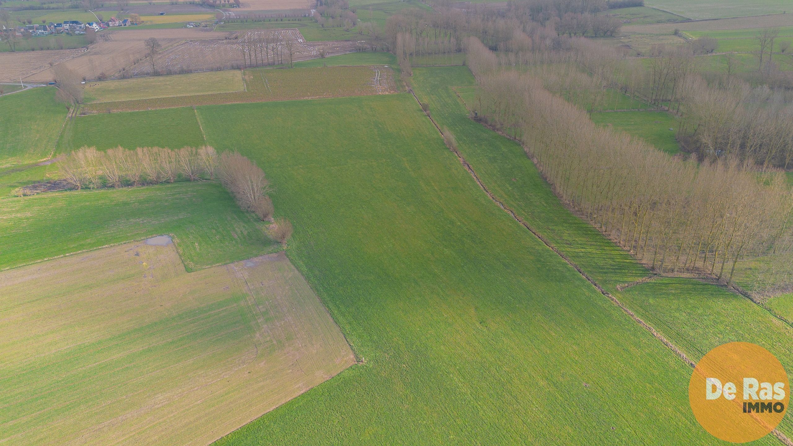 HILLEGEM – Landbouwgronden te koop foto 6