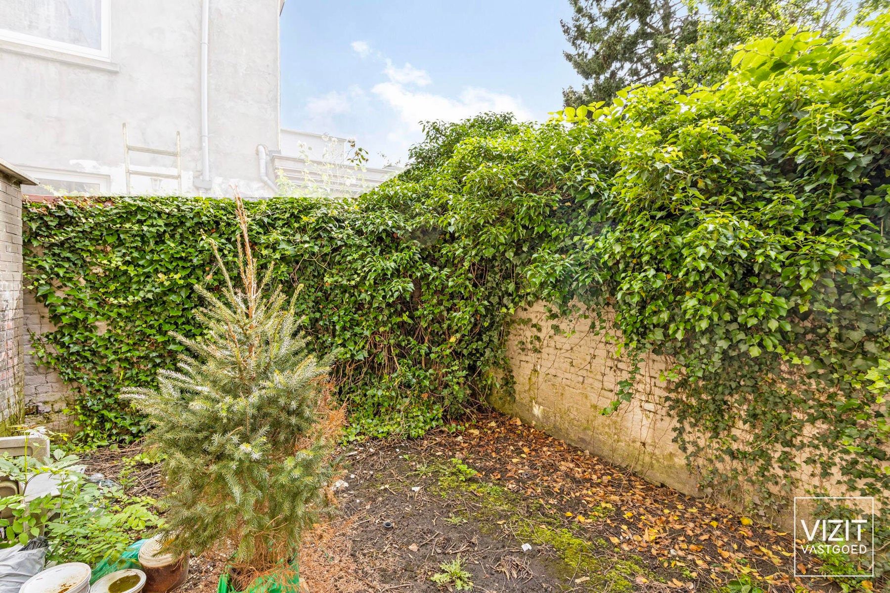 Te renoveren huis 3 slaapkamers met stadstuin en terras foto 12