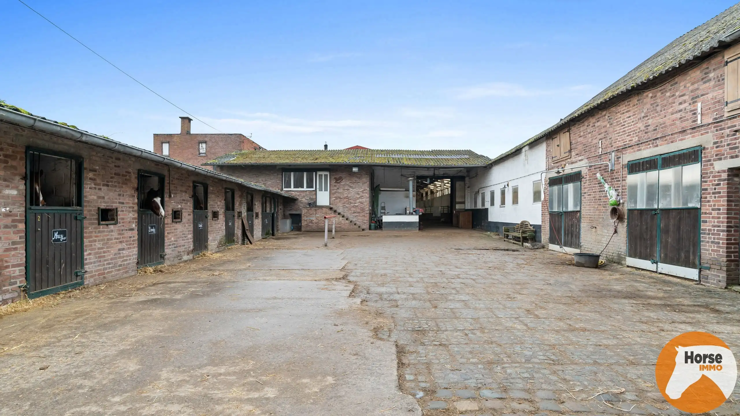 HASSELT (Kortessem) - Manege met veel potentieel! foto 14