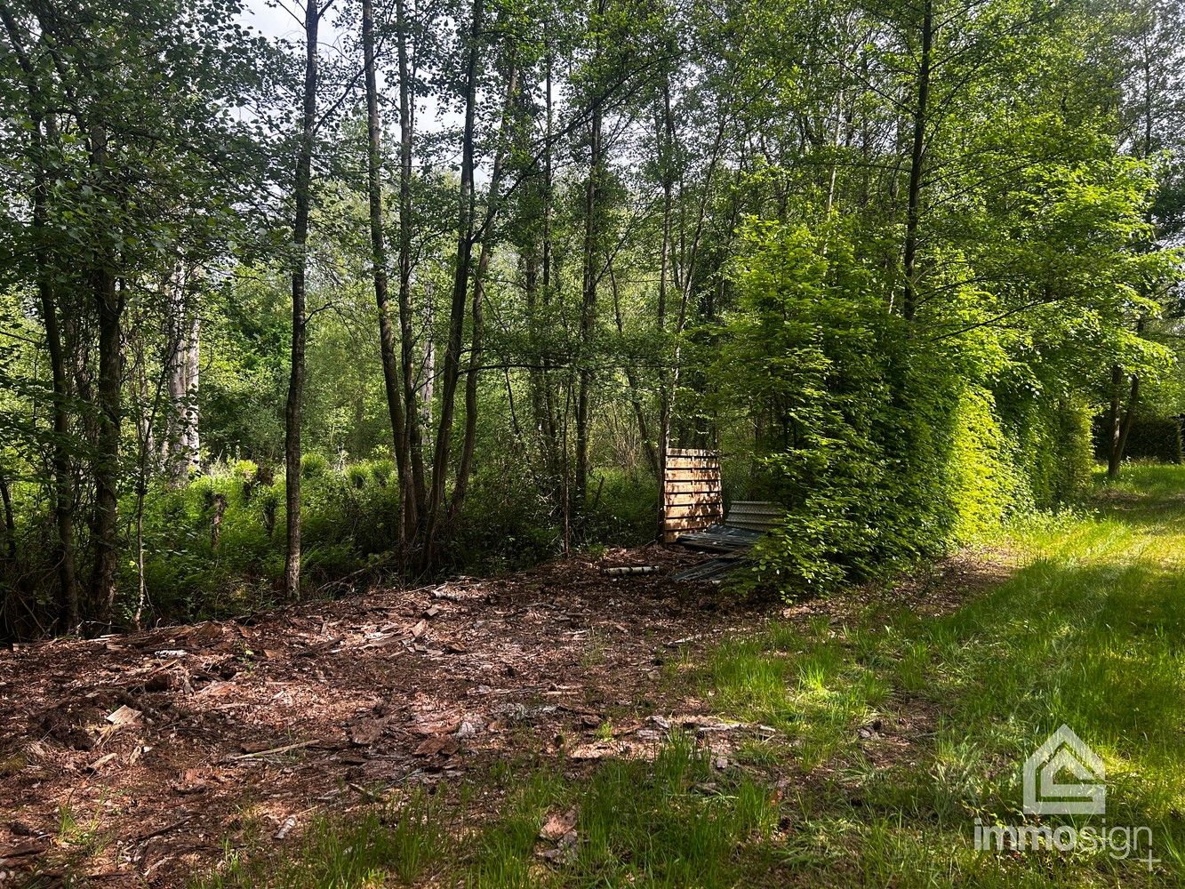 Uniek stukje natuurgebied van 1.470 m² gelegen te Hamont-Achel! foto 10