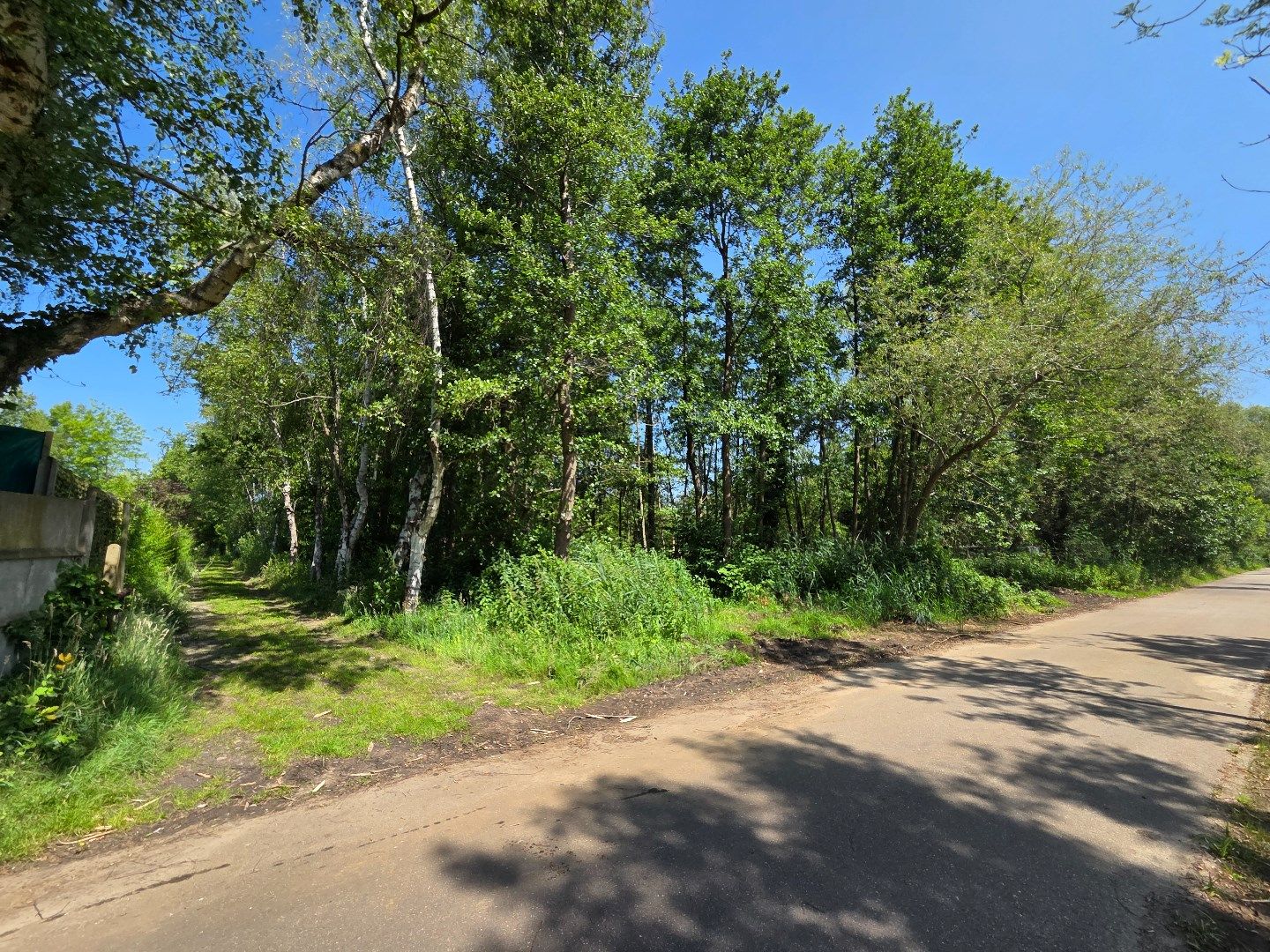 Perceel hooiland van 2.532 m² langs de Ring in Mol ! foto {{pictureIndex}}