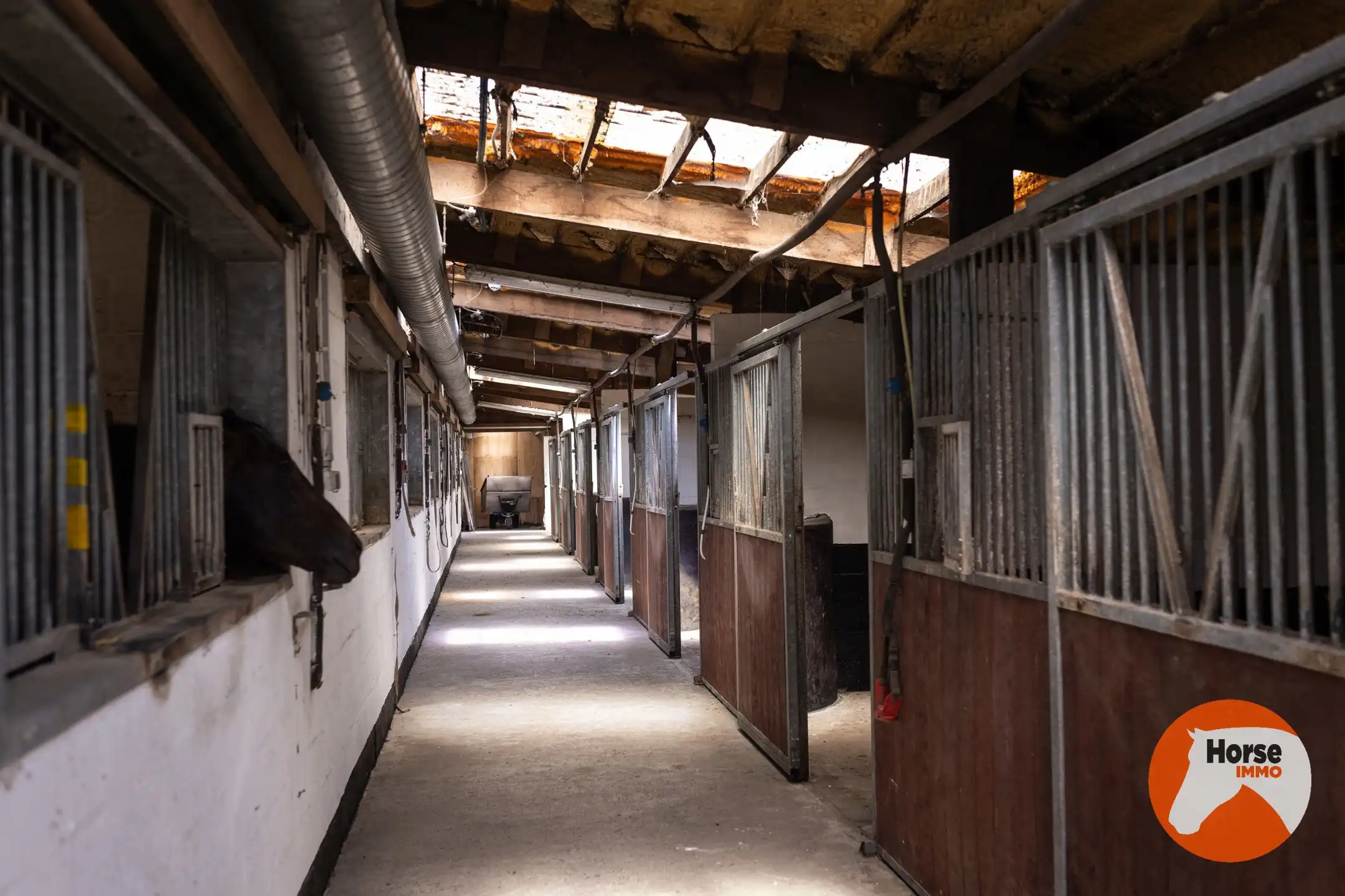 MERELBEKE -  Professioneel paardencomplex op 3,35HA foto 41