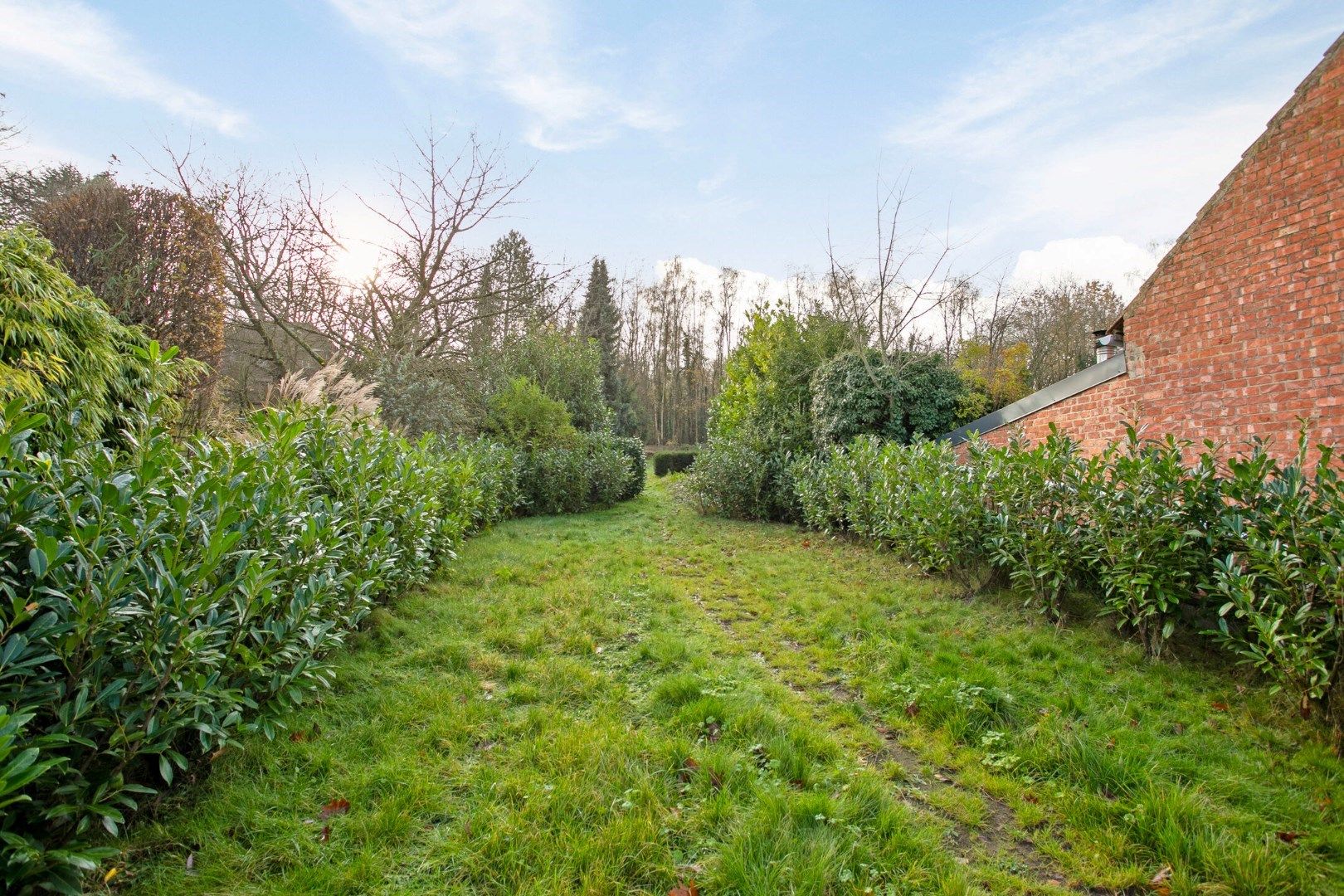 Instapklare woning met 4 slaapkamers en bureau op een perceel van 800m²- EPC 74 kWh/m² - bewoonbare oppervlakte 233 m² foto 15