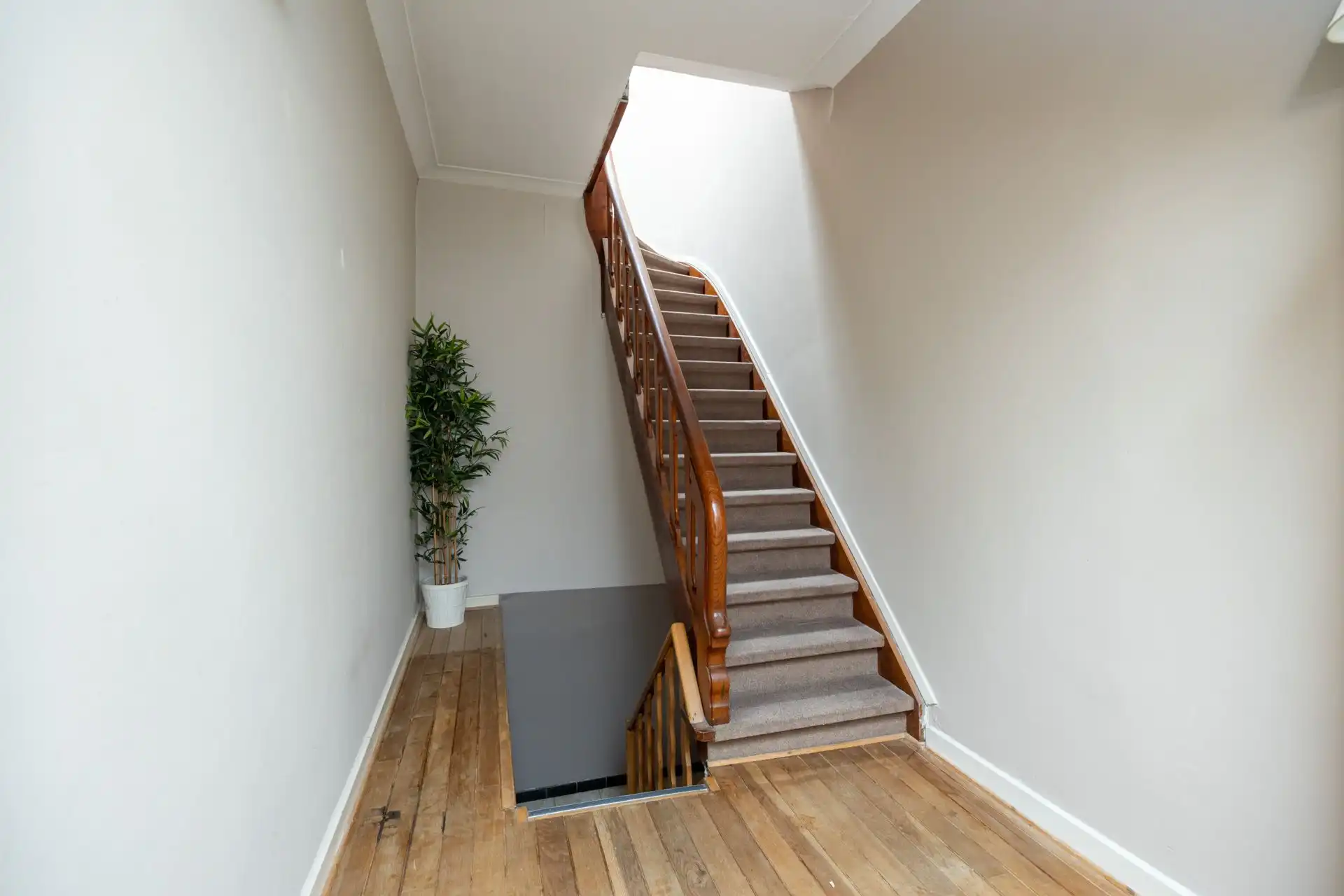 Handelshuis met duplexappartement te koop in hartje Wilrijk foto 18