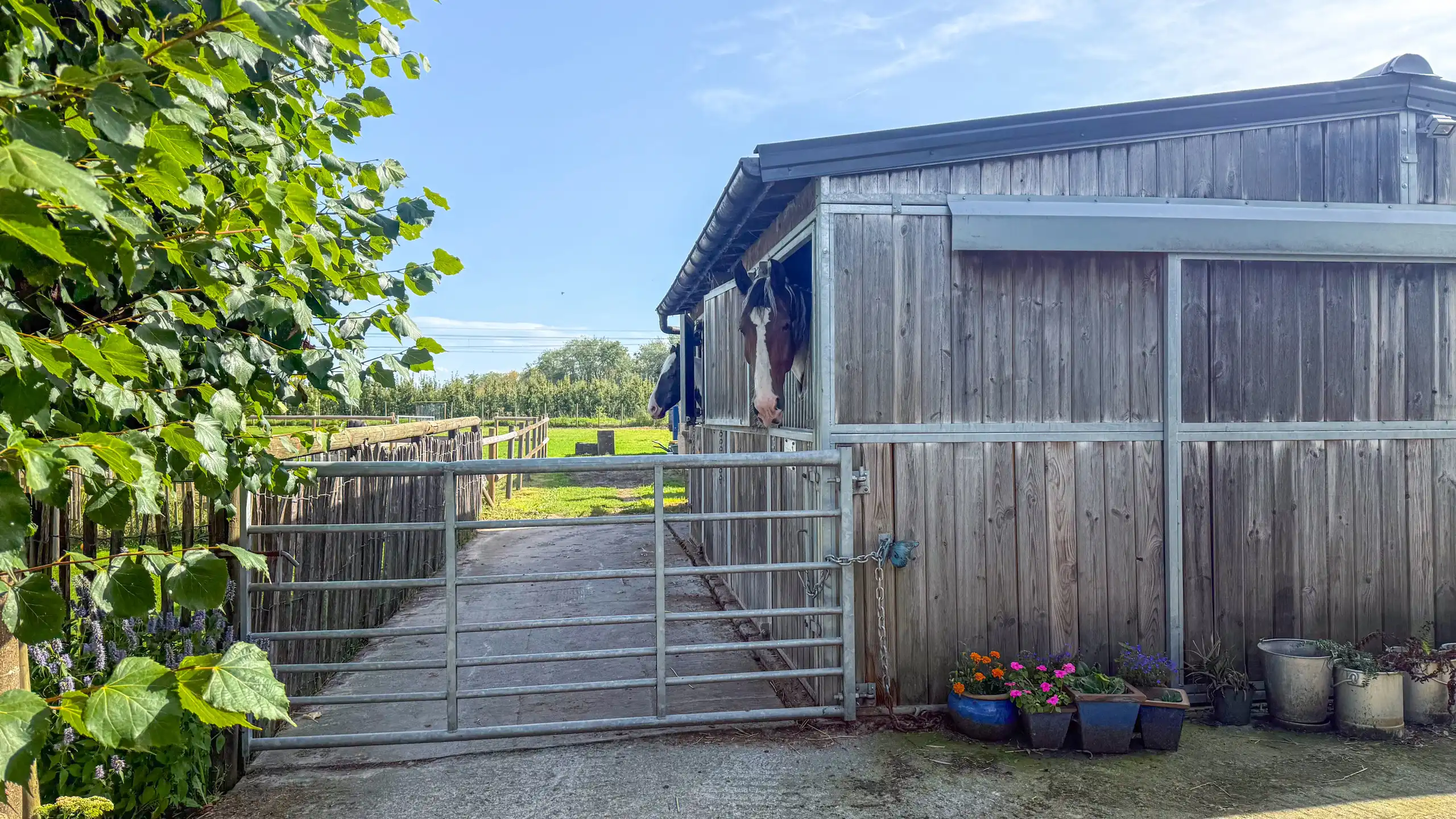Landelijke woning met 6 slpks op perceel van 36a 70ca! foto 57