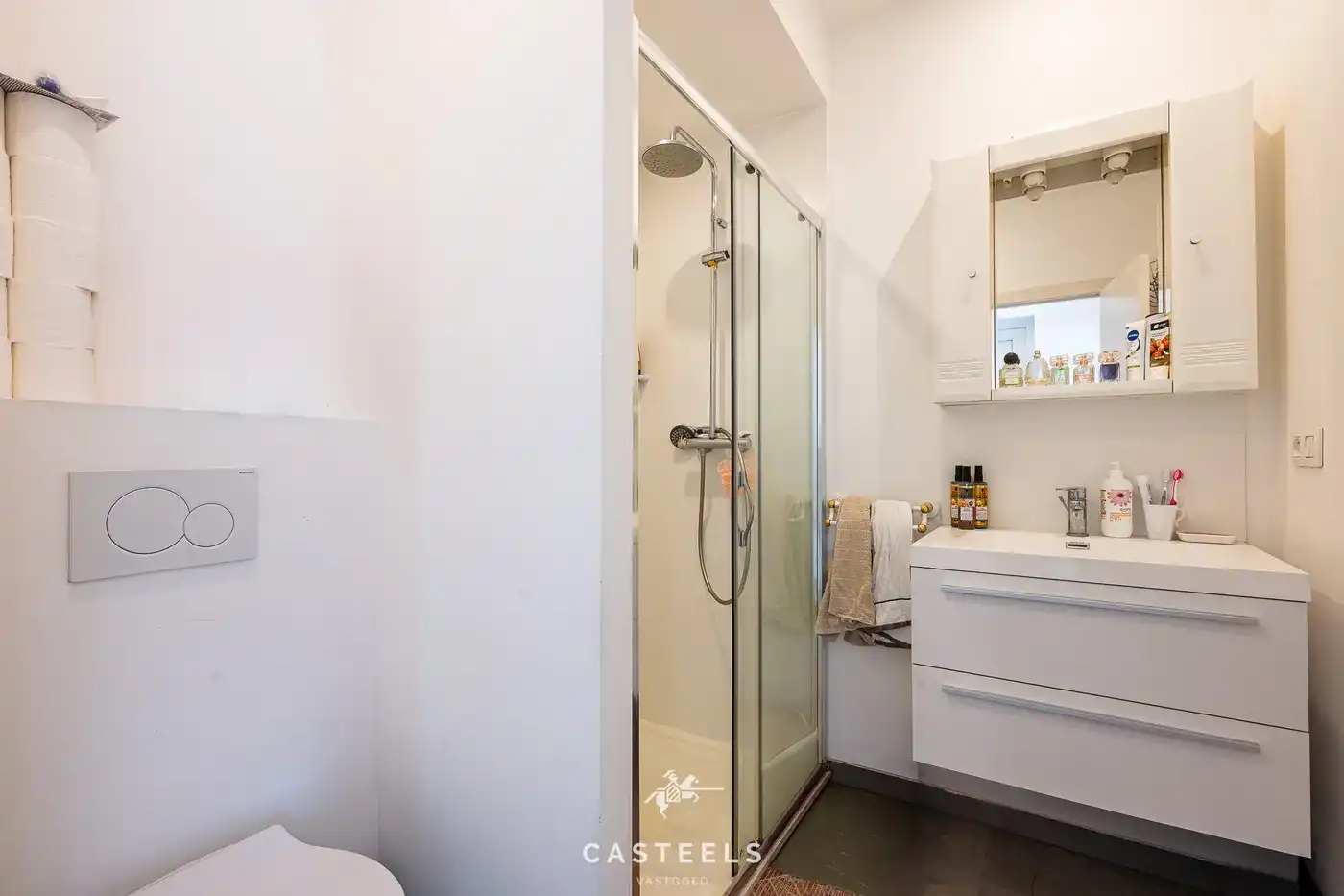 Gerenoveerd gelijkvloers appartement vlak bij Dampoort foto 12
