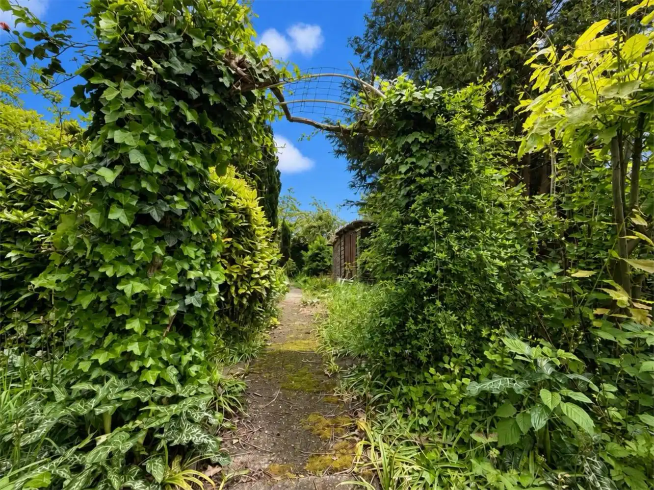 Op te frissen alleenstaande woning met riante tuin foto 31