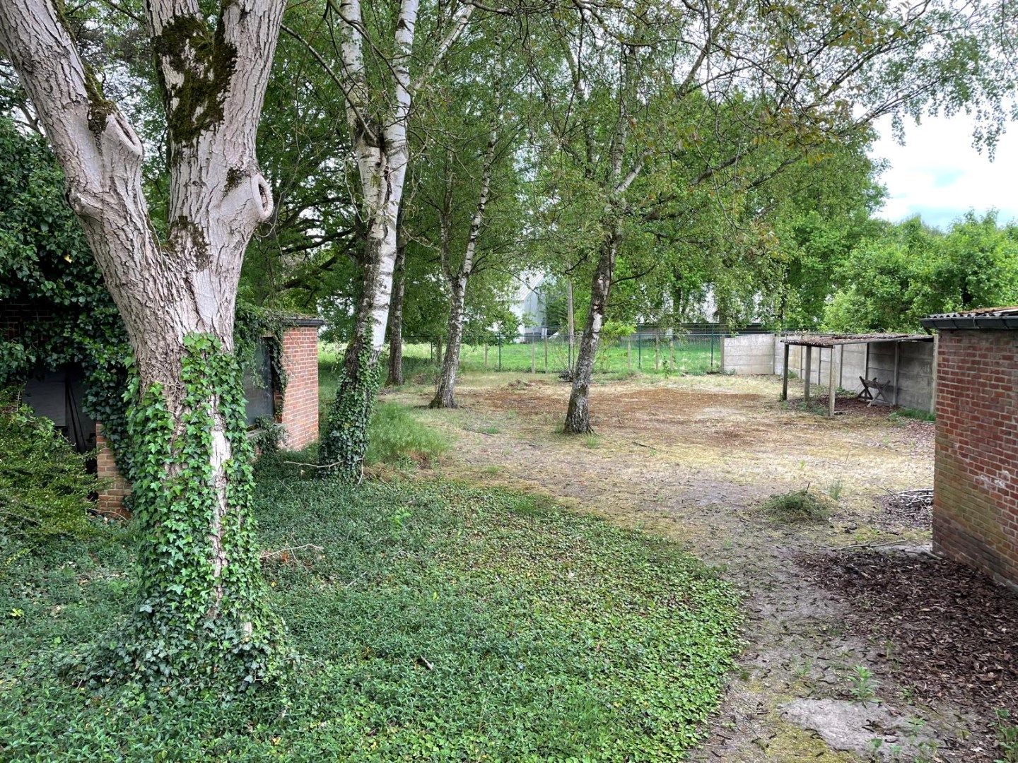 Gelijkvloerse woning in Mol met 1302m² tuin foto 4