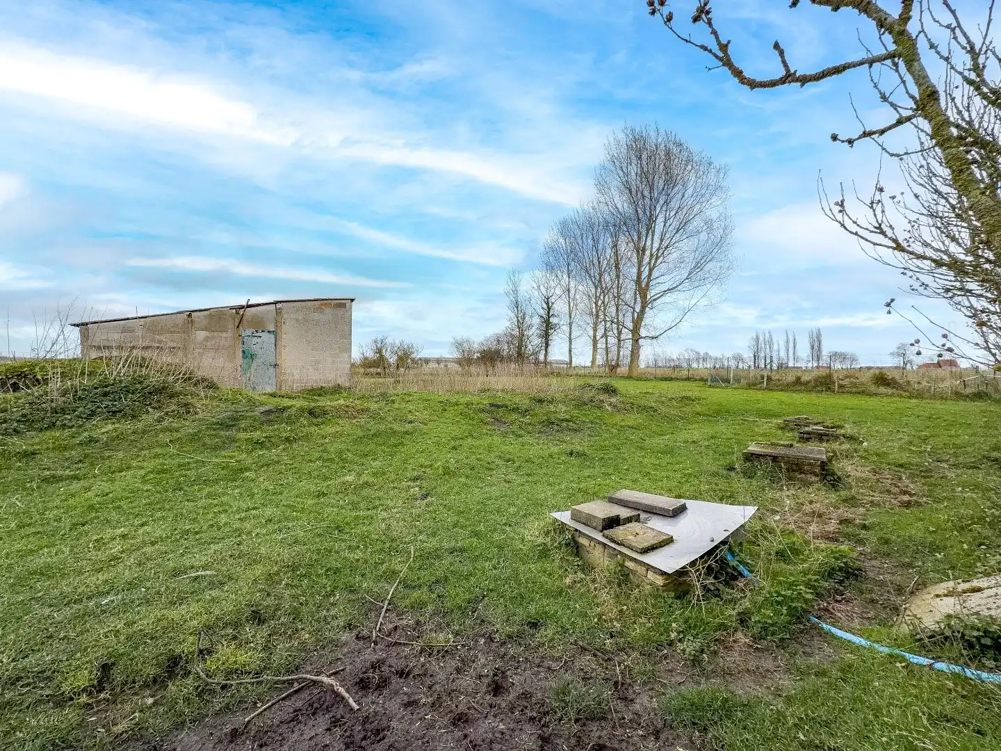 KIJKDAG ZATERDAG 21/03 VAN 10U TOT 12U! foto 24