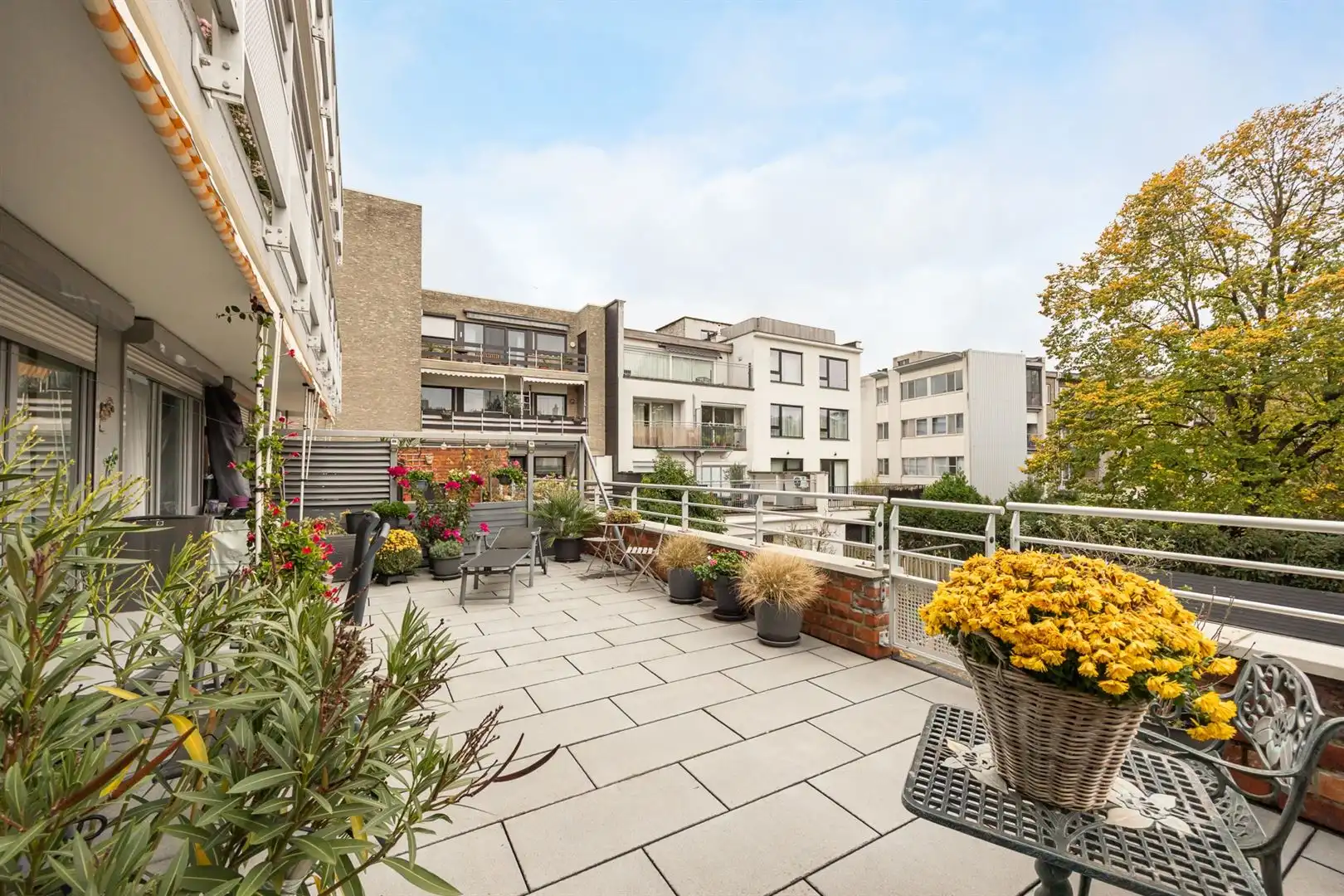 Ruim appartement met daktuin aan de Schelde foto 3