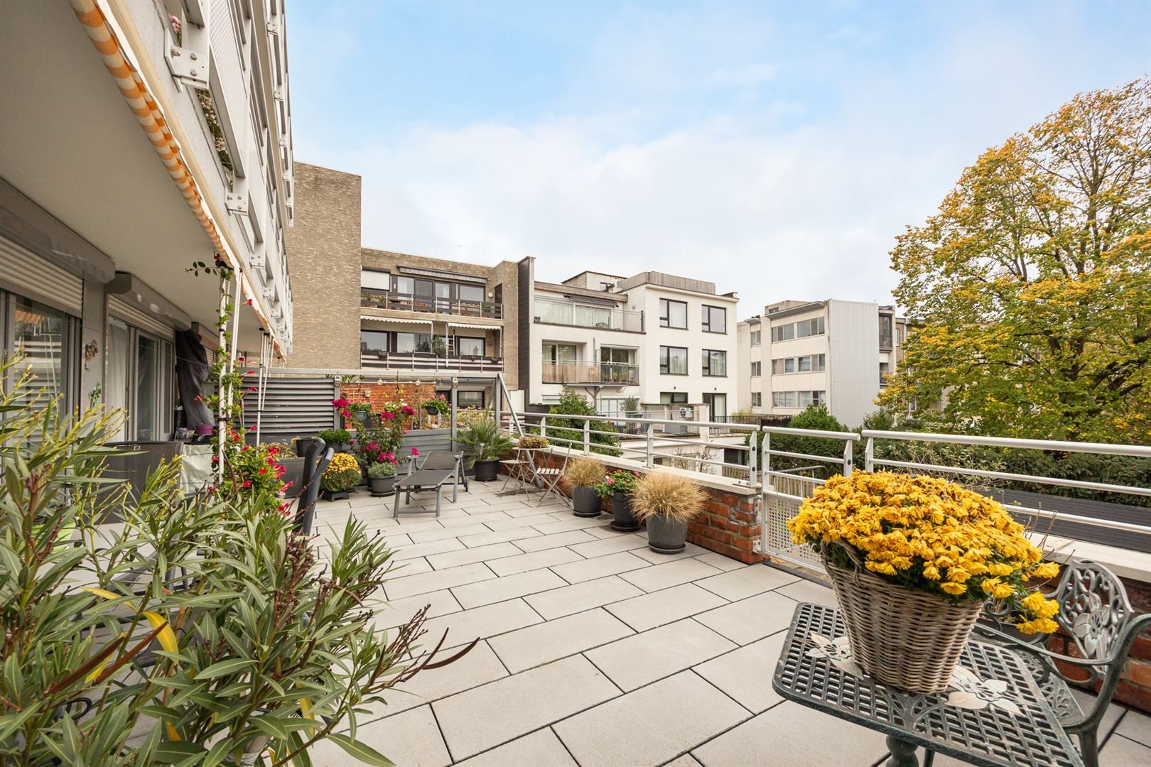 Ruim appartement met daktuin aan de Schelde foto 3