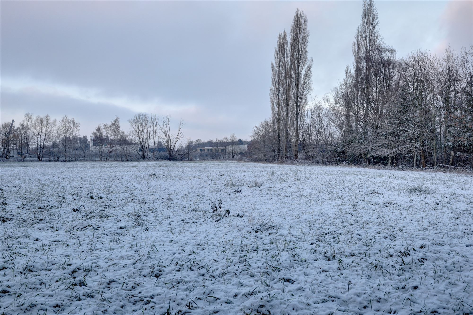 Idyllische paardenweide / bosgrond in Bonheiden foto {{pictureIndex}}