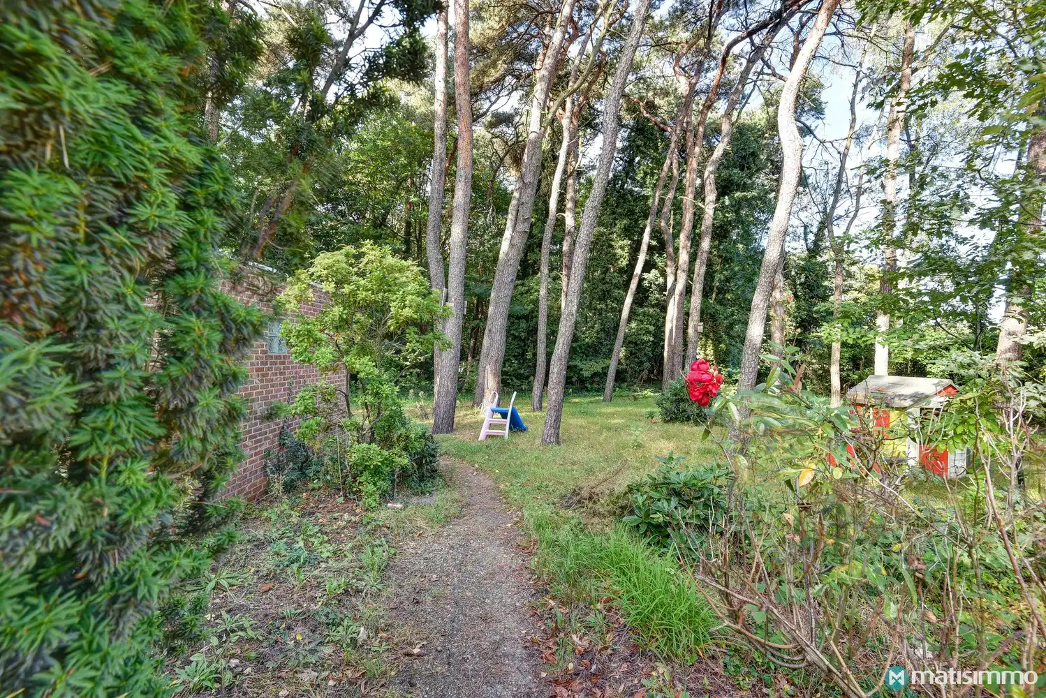 ZEER RUIME&nbsp;TE RENOVEREN&nbsp;GEZINSWONING MET 4 SLAAPKAMERS EN BIJGEBOUW VAN +- 100 M2&nbsp;OP PERCEEL VAN 1HA 29A 93CA IN DIEPENBEEK foto 43