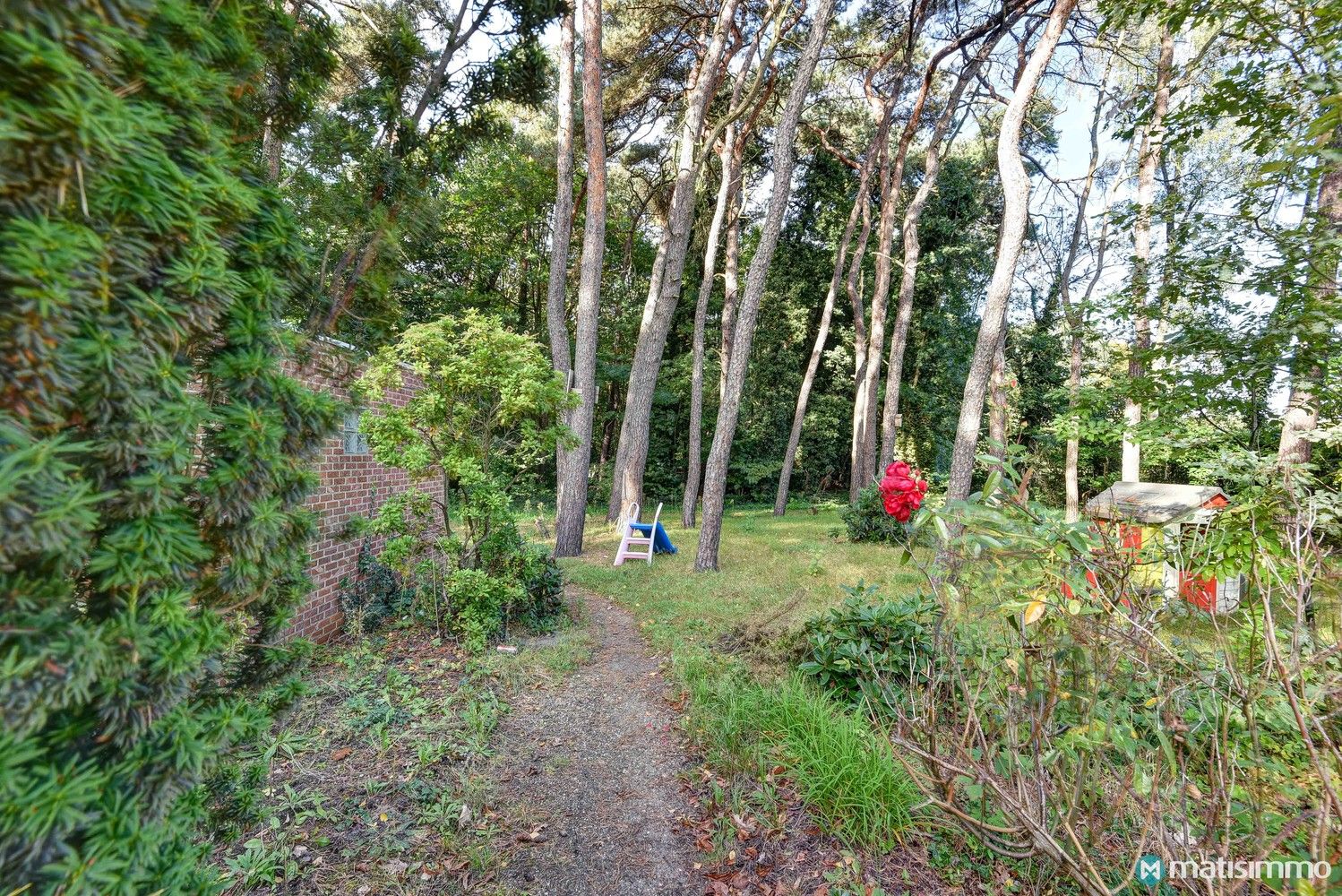 ZEER RUIME TE RENOVEREN GEZINSWONING MET 4 SLAAPKAMERS EN BIJGEBOUW VAN +- 100 M2 OP PERCEEL VAN 1HA 29A 93CA IN DIEPENBEEK foto 43