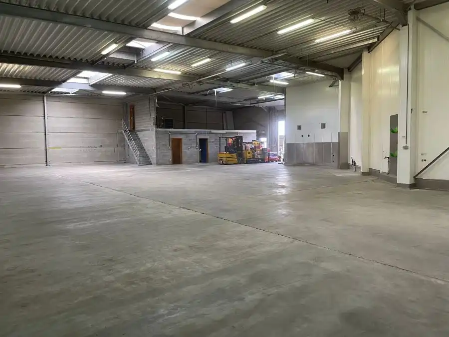 Wolvenstraat 6B, 2861 Onze-Lieve-Vrouw-Waver foto 4