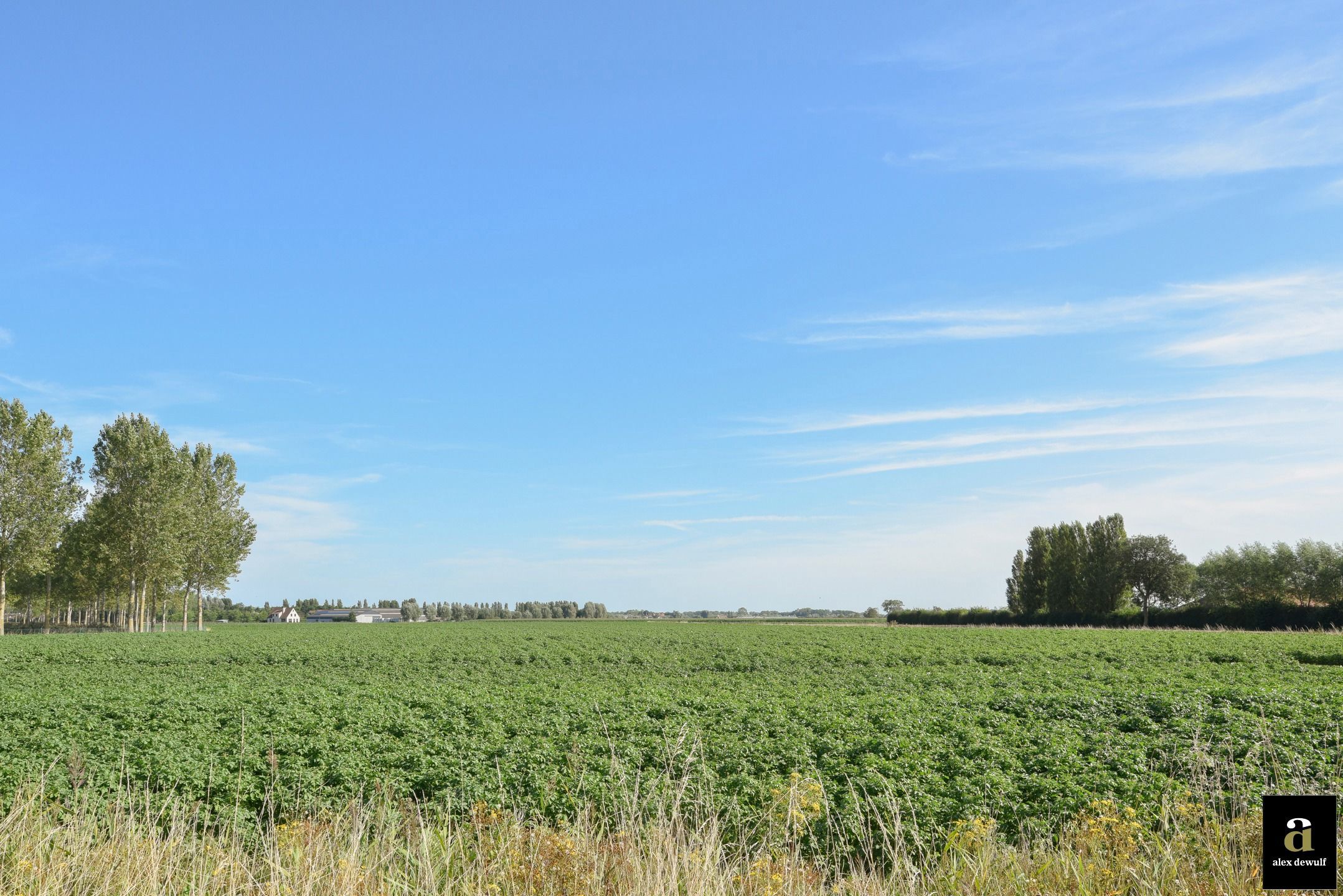 Gerenoveerde koppelvilla met open zicht op de Polders.       foto 35