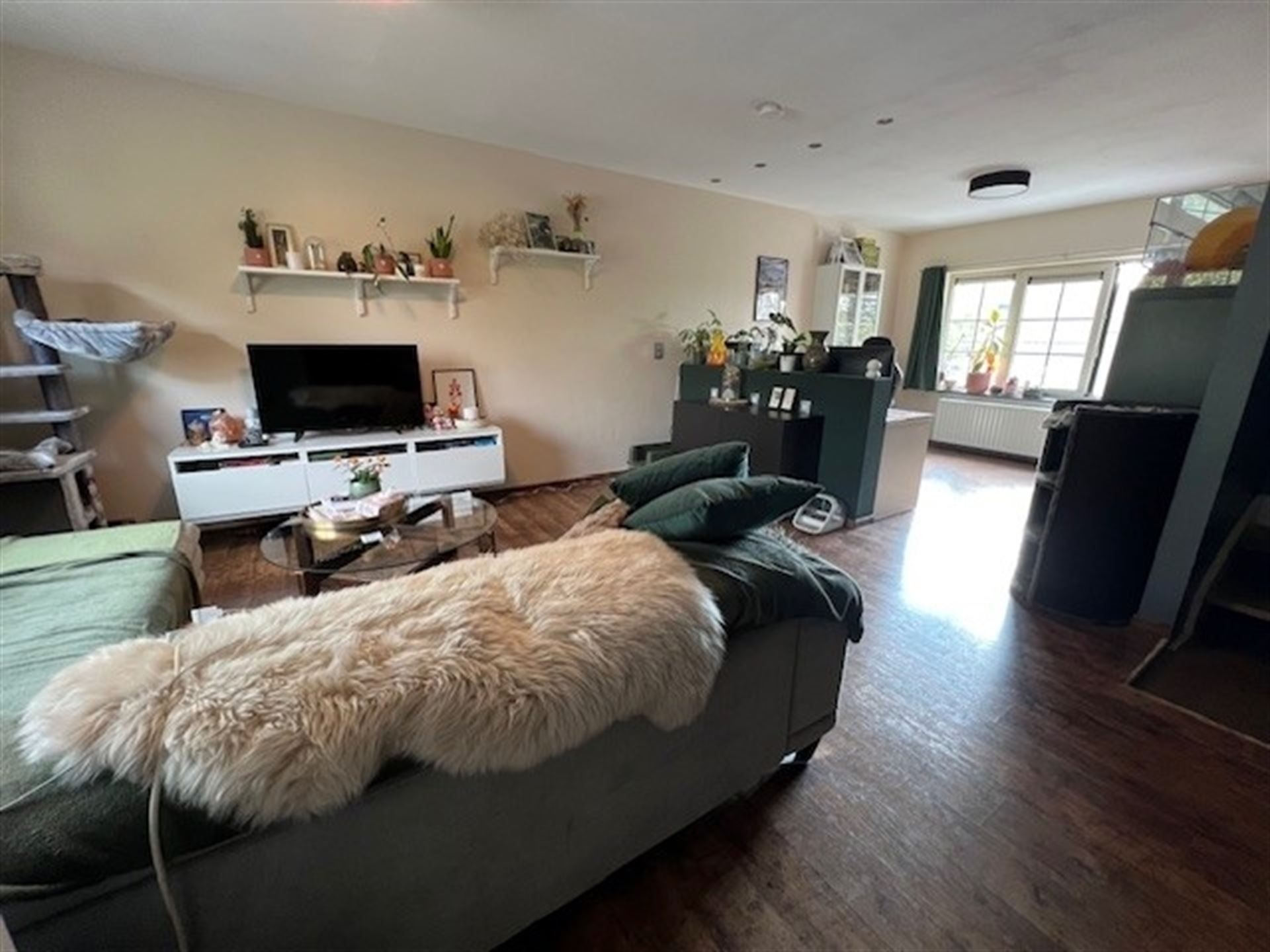 Charmante woning met gezellige tuin! foto 5