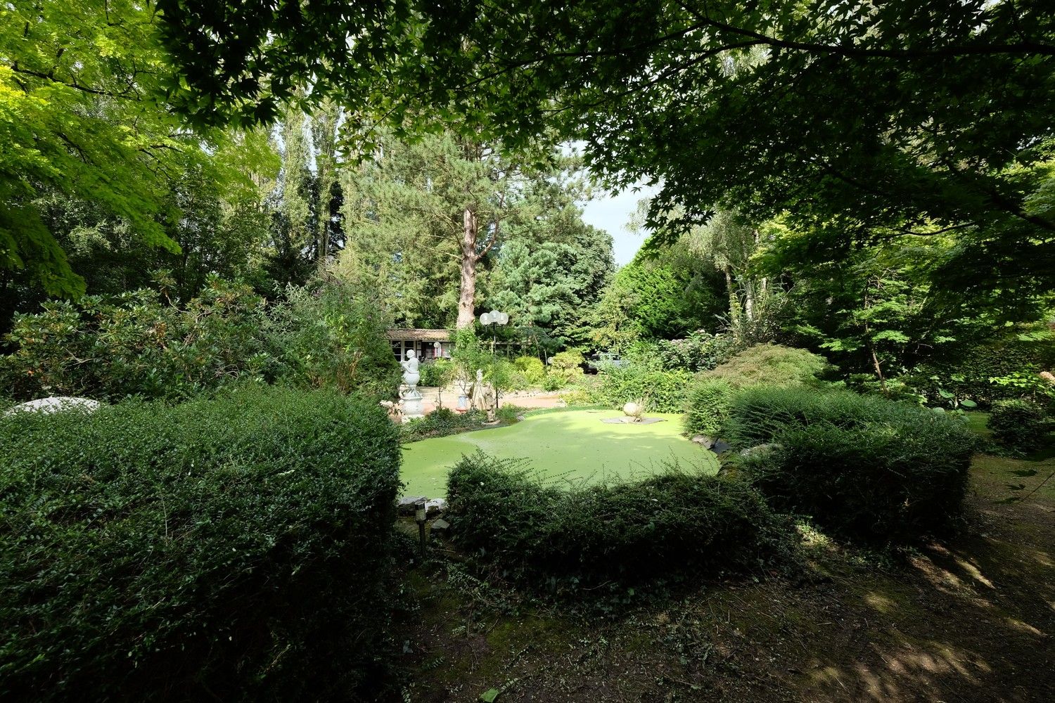 Uniek perceel met een charmante vakantiewoning midden in de natuur omgeven door een uitzonderlijke collectie van prachtige bomen. foto 34