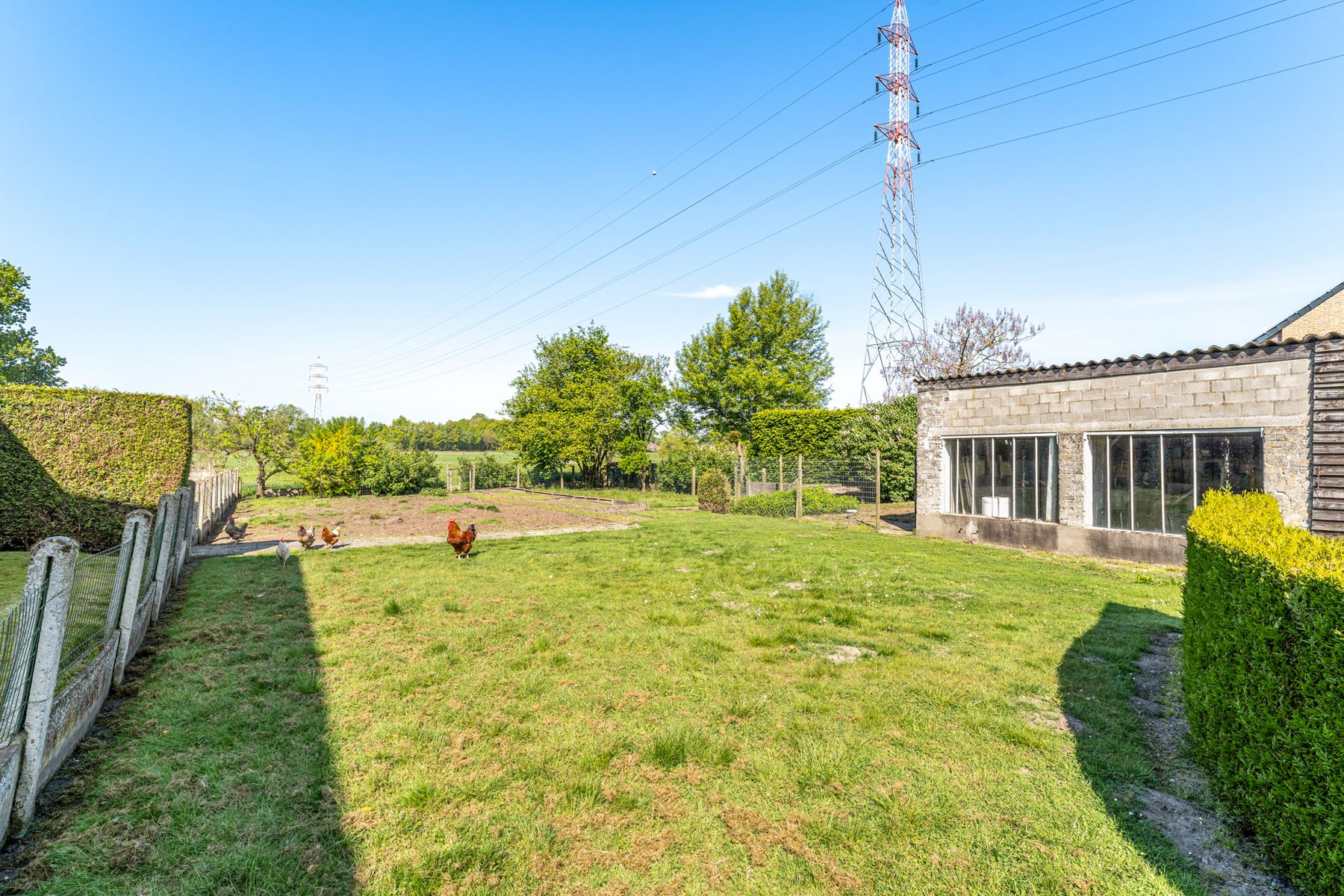 Bouwgrond met open zicht te koop in 't Herent (Pelt) foto 4