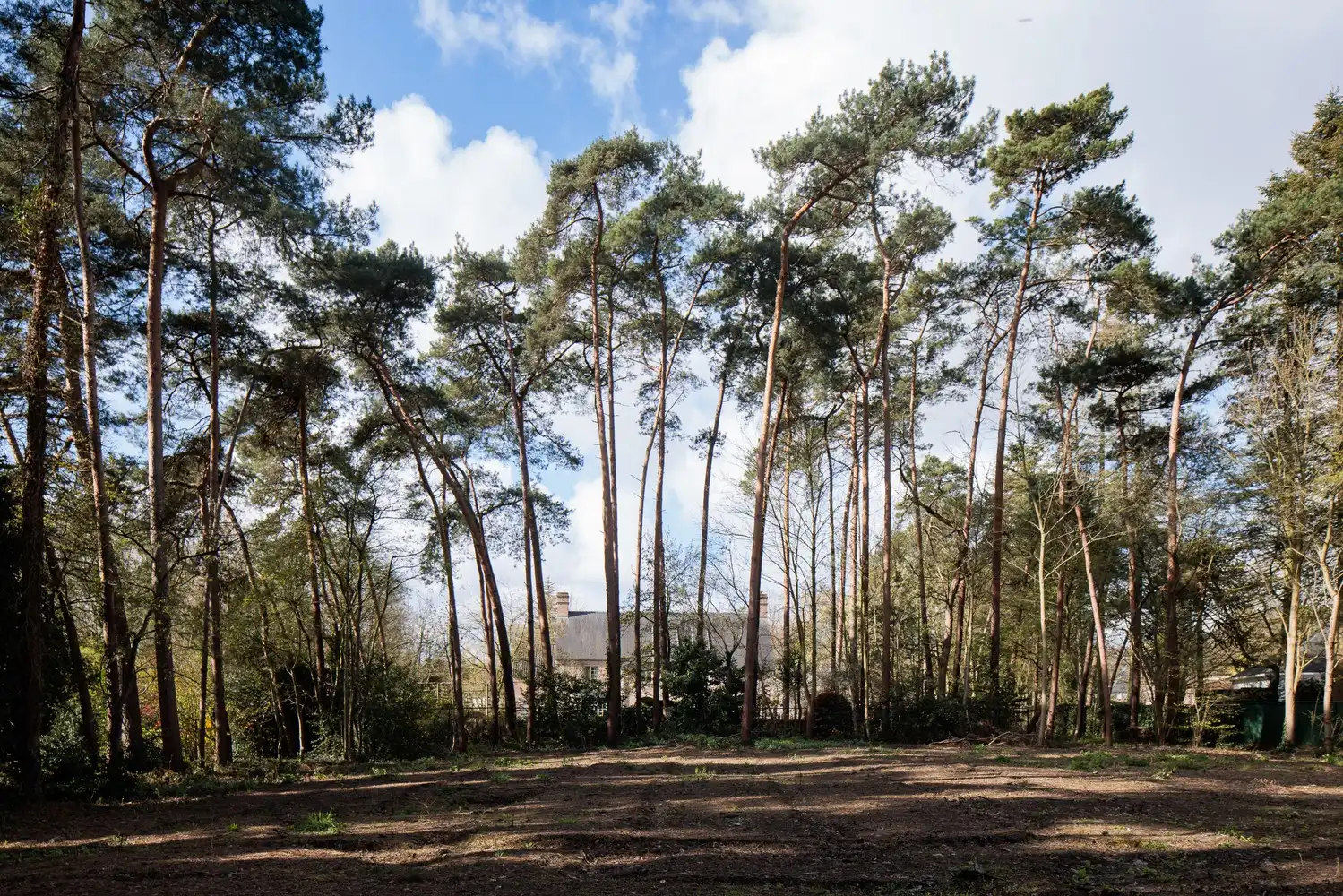 Uitstekend gelegen bouwgrond van ca. 2.993 m2 foto 7