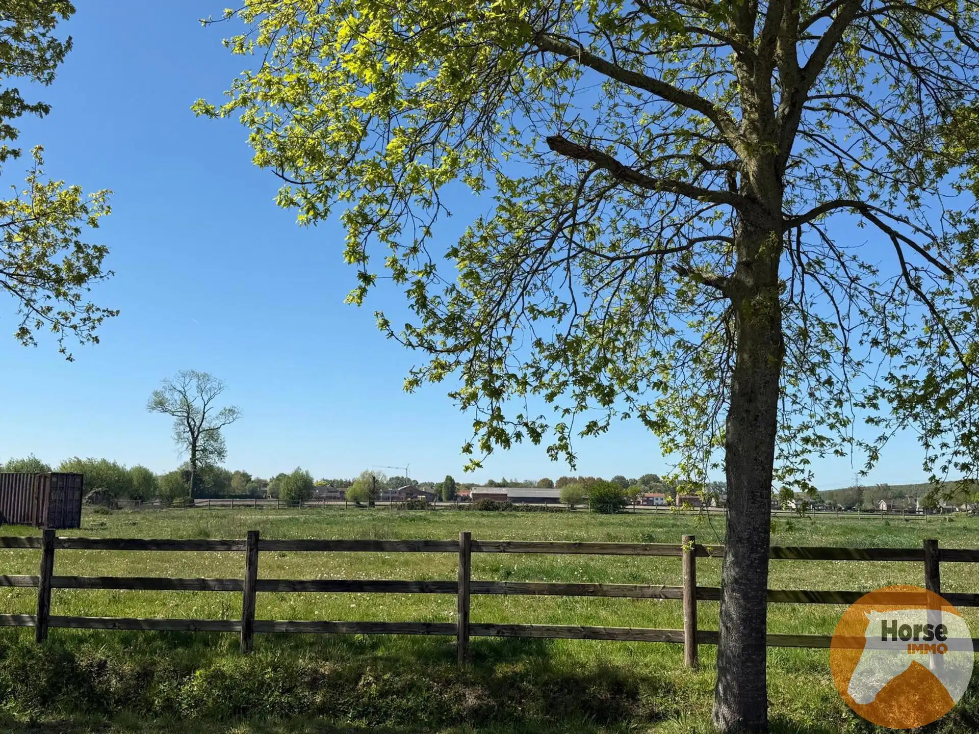 MALDEGEM - Bouwgrond met weide in groene omgeving foto 13