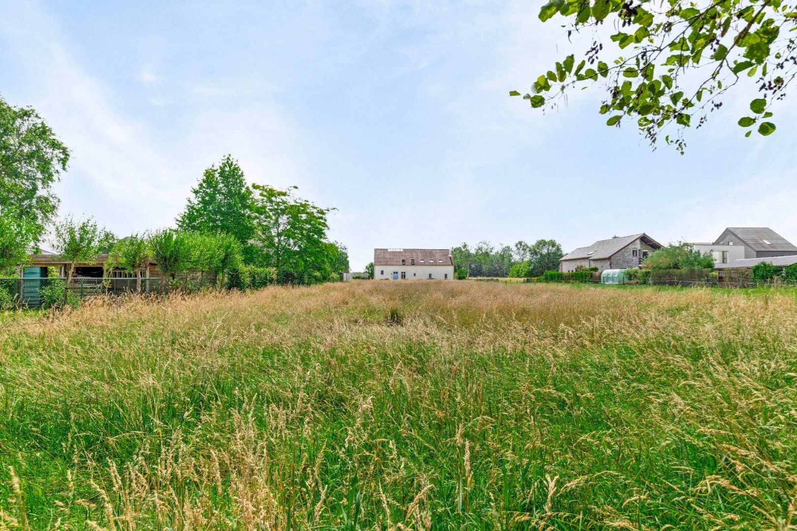 Bouwgrond van 17a15ca met zicht op een natuurgebied foto 8