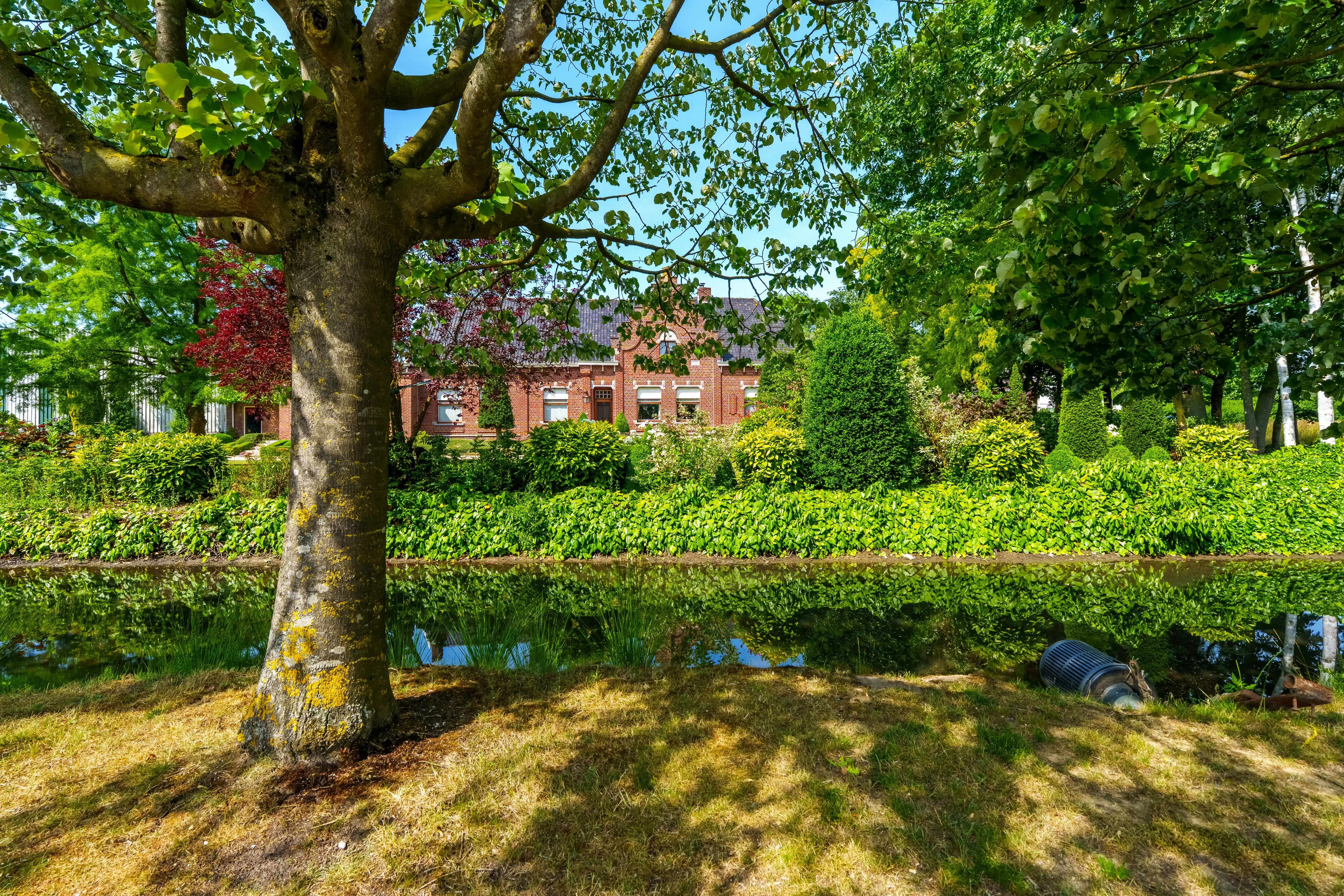 Karaktervolle historische hoeve te Sint-Eloois-Winkel  foto 2