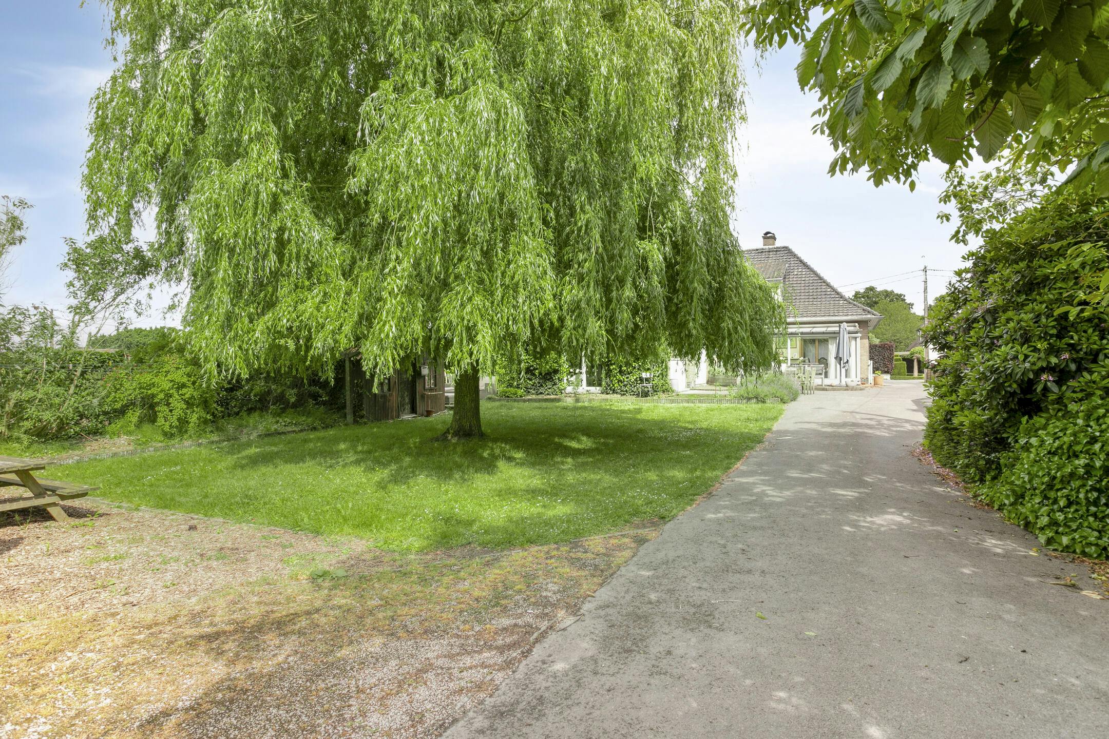 Alleenstaand huis met 5 kamers en atelier te koop in Waregem foto 23