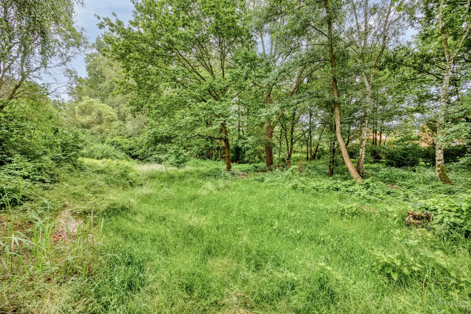 Bouwgrond op 16a 76ca te koop in Tessenderlo-Ham foto 10