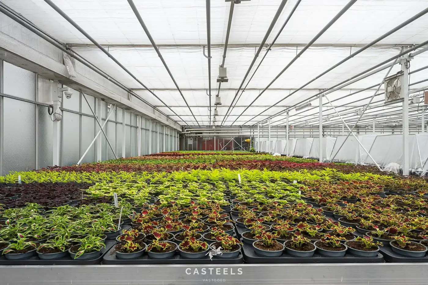 Sierteeltbedrijf 1,58 ha te koop op een toplocatie foto 4
