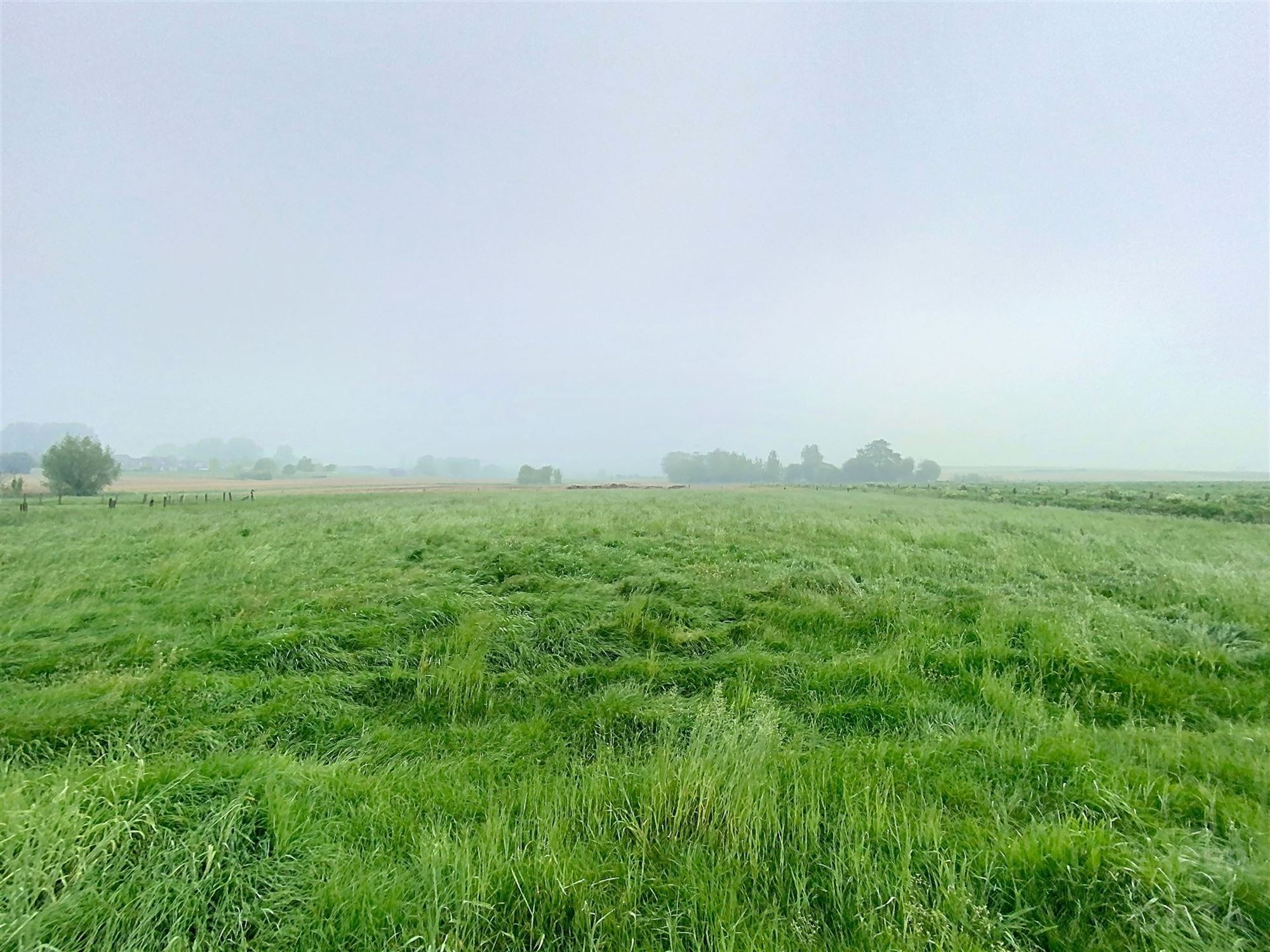 Rustig gelegen vrijstaande woning met 7310m² grond gelegen in woongebied met landelijk karakter foto 18