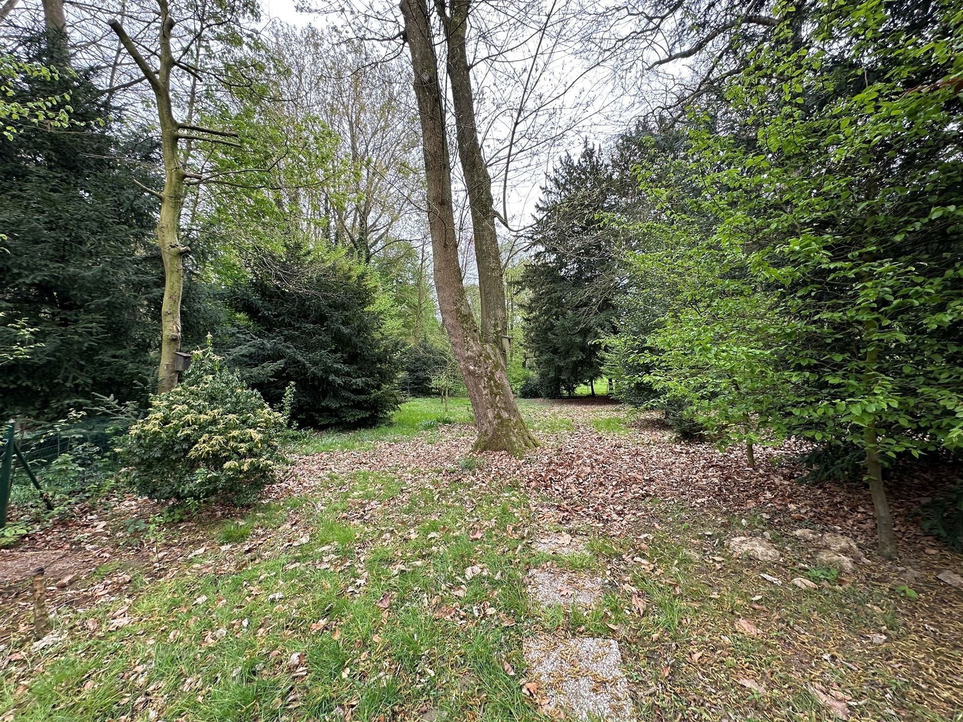 Karaktervolle villa op royaal perceel te Wortegem-Petegem foto 5