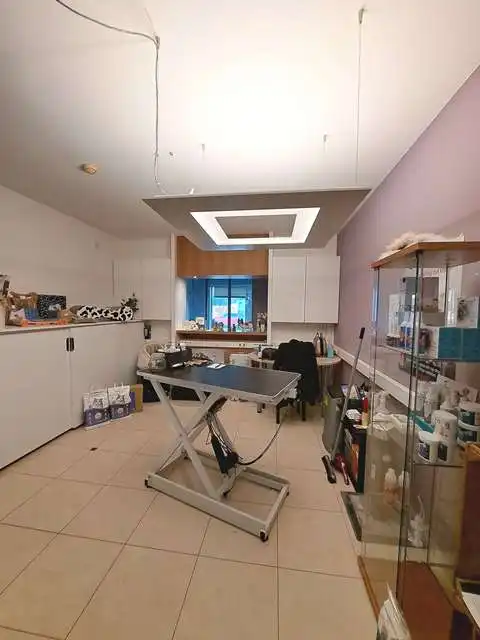 Instapklaar handelspand met 2 polyvalente ruimtes te huur in Loppem Zedelgem foto 3