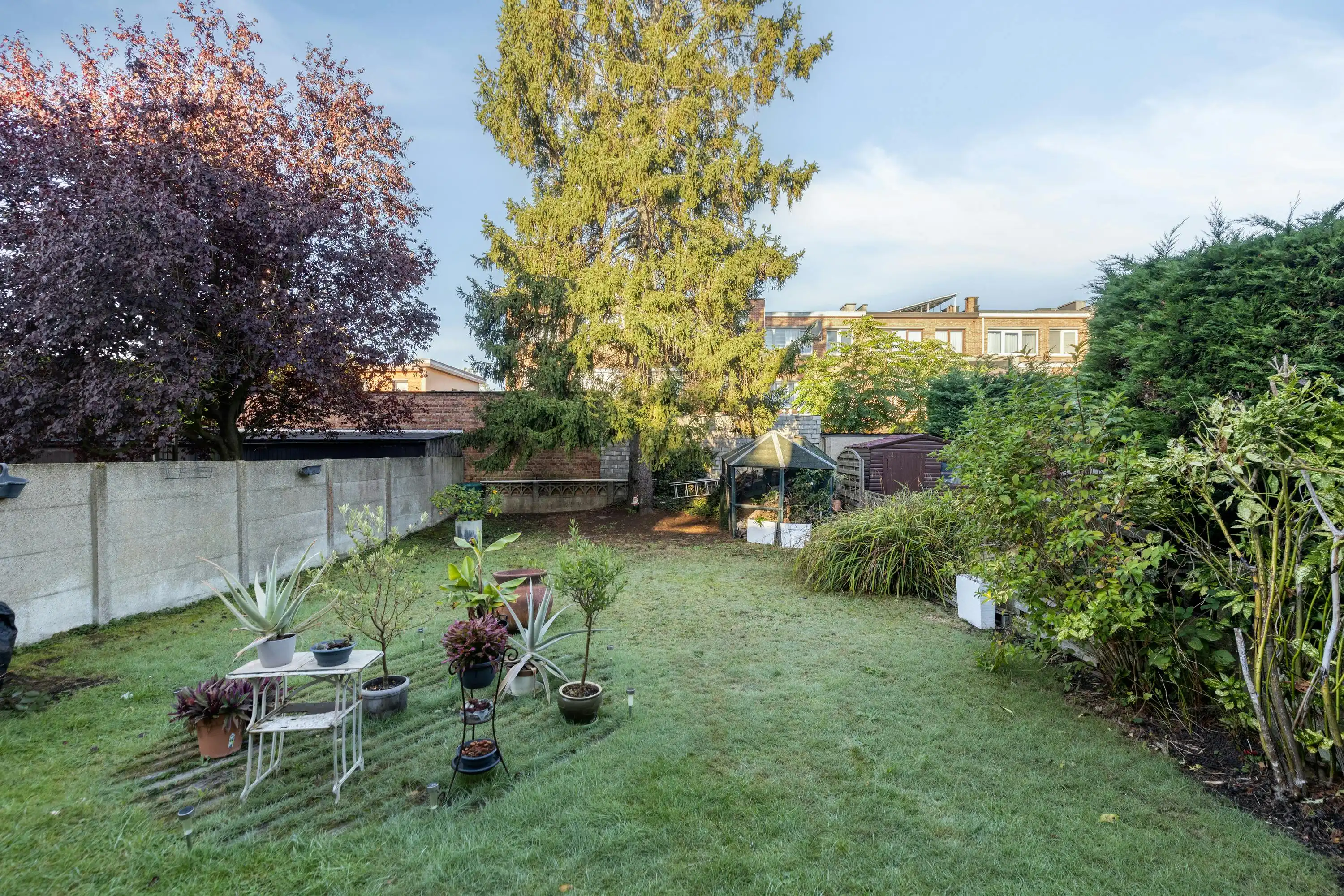Woning met potentieel te koop in Merksem foto 10