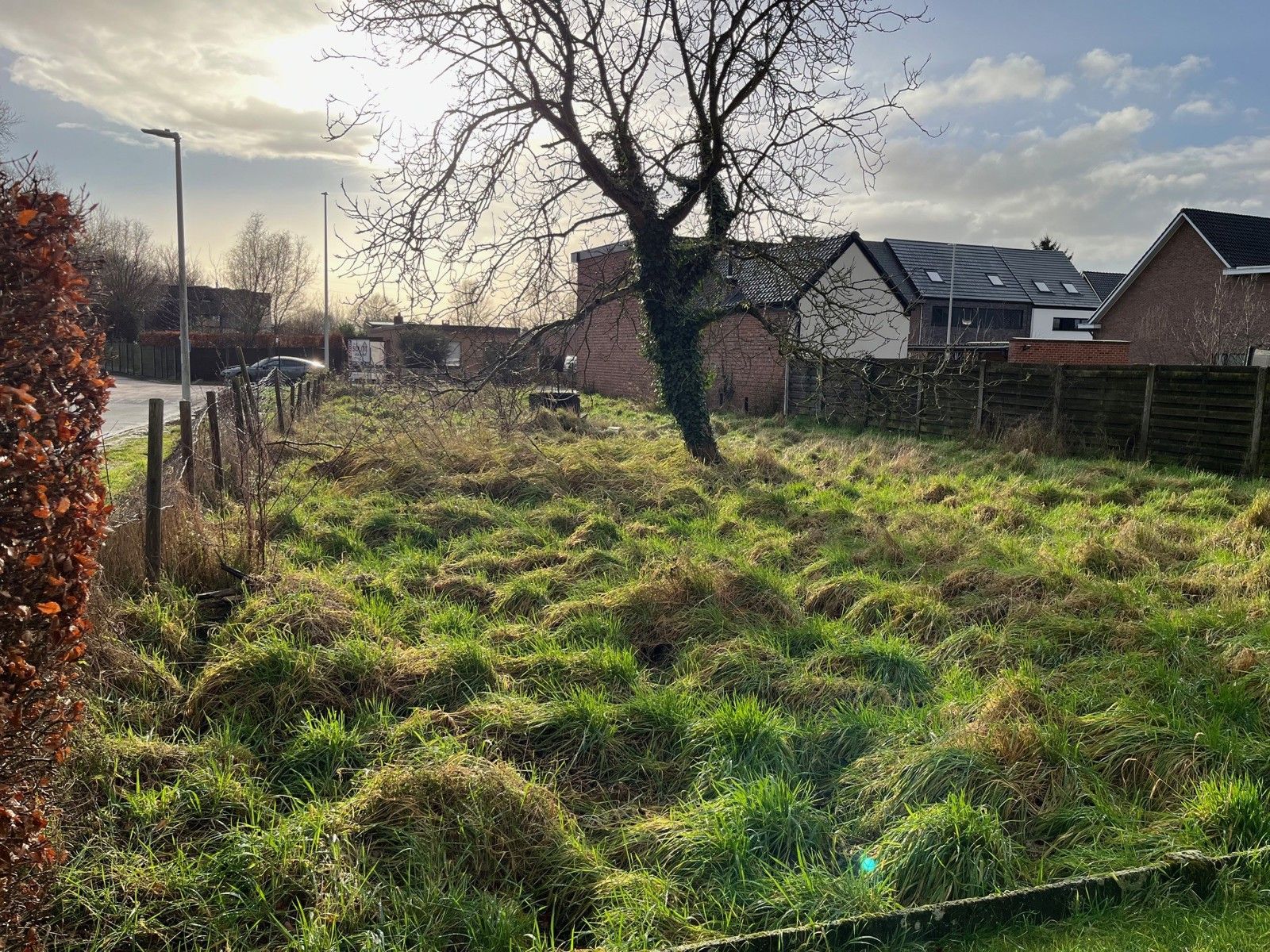 Rustig gelegen bouwgrond HOB  foto 3