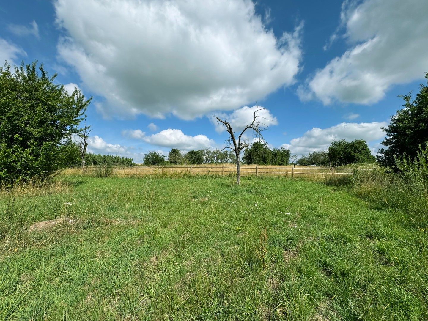 Uitgestrekte paardenweide van 68a 17ca – volledig omheind en klaar voor gebruik foto 4