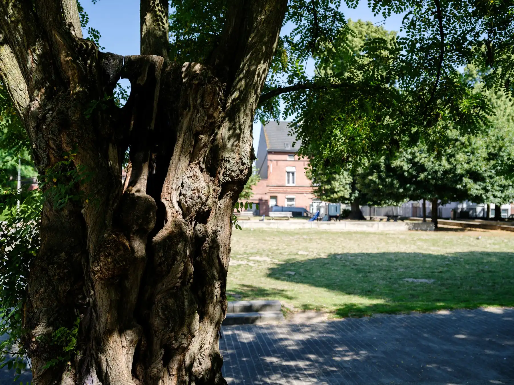 Karaktervolle, gezellige stadswoning in historisch beluik nabij Begijnhof foto 12