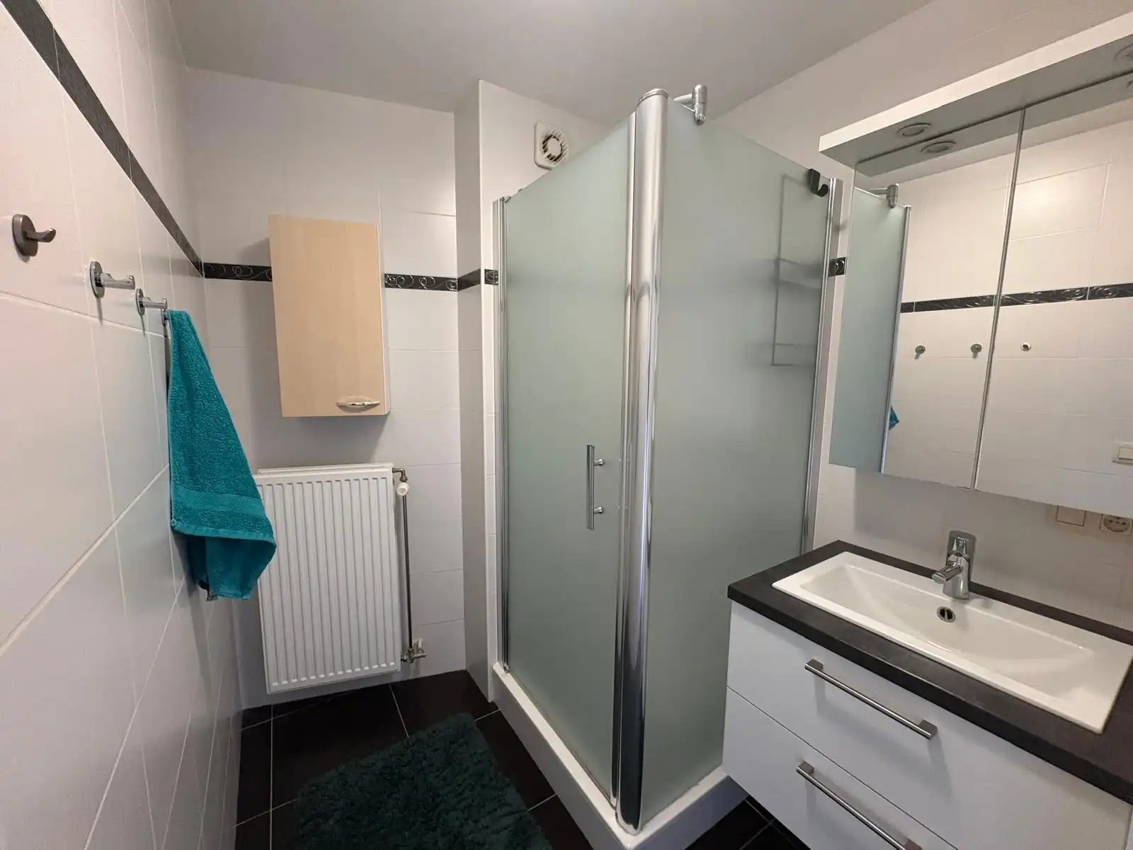 Appartement met 2 slaapkamers te huur in Nijlen foto 5