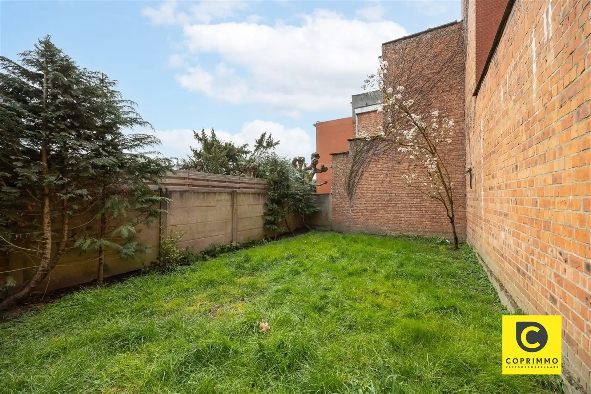 Woning met ruime zuidgerichte tuin foto 5