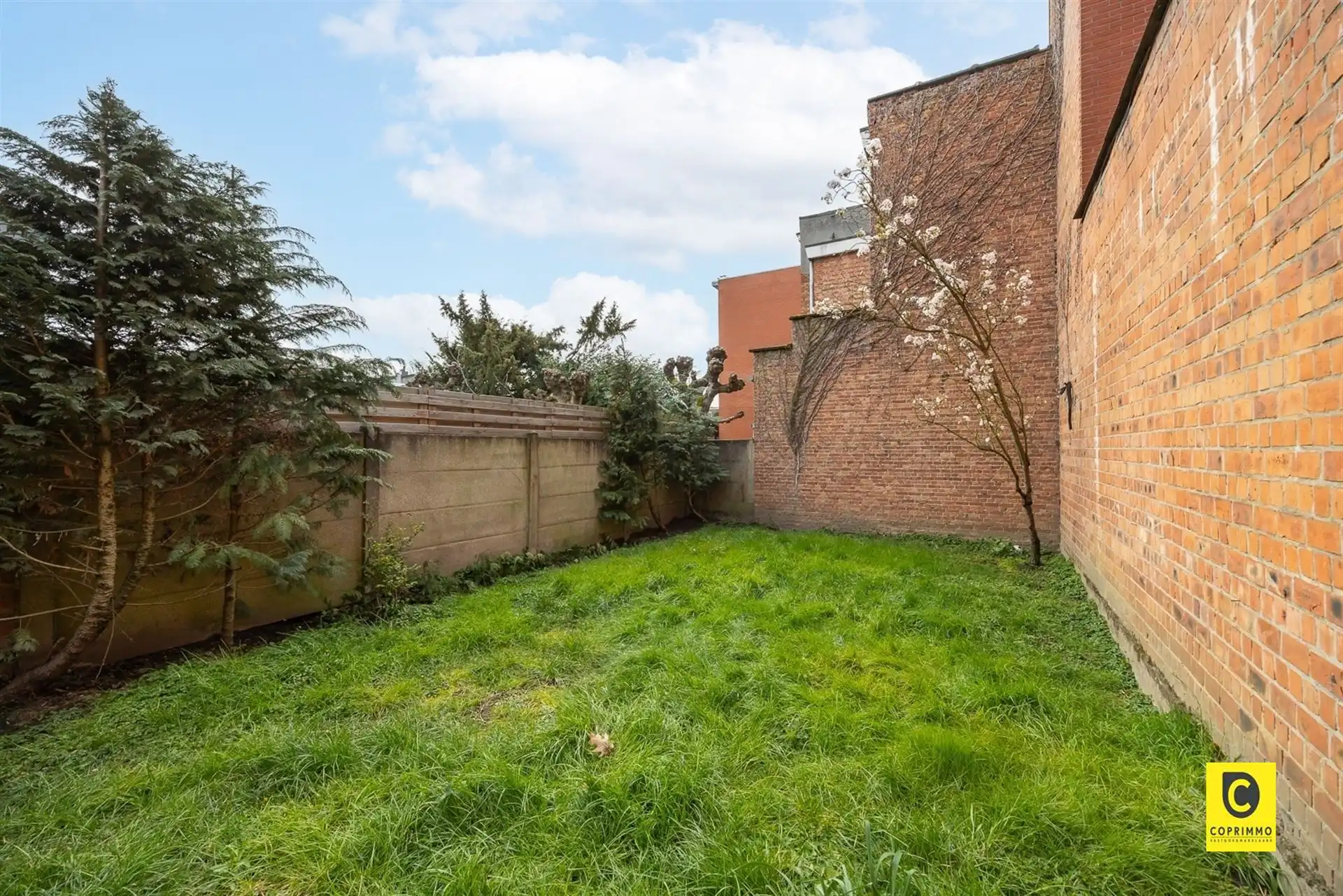 Woning met ruime zuidgerichte tuin foto 5