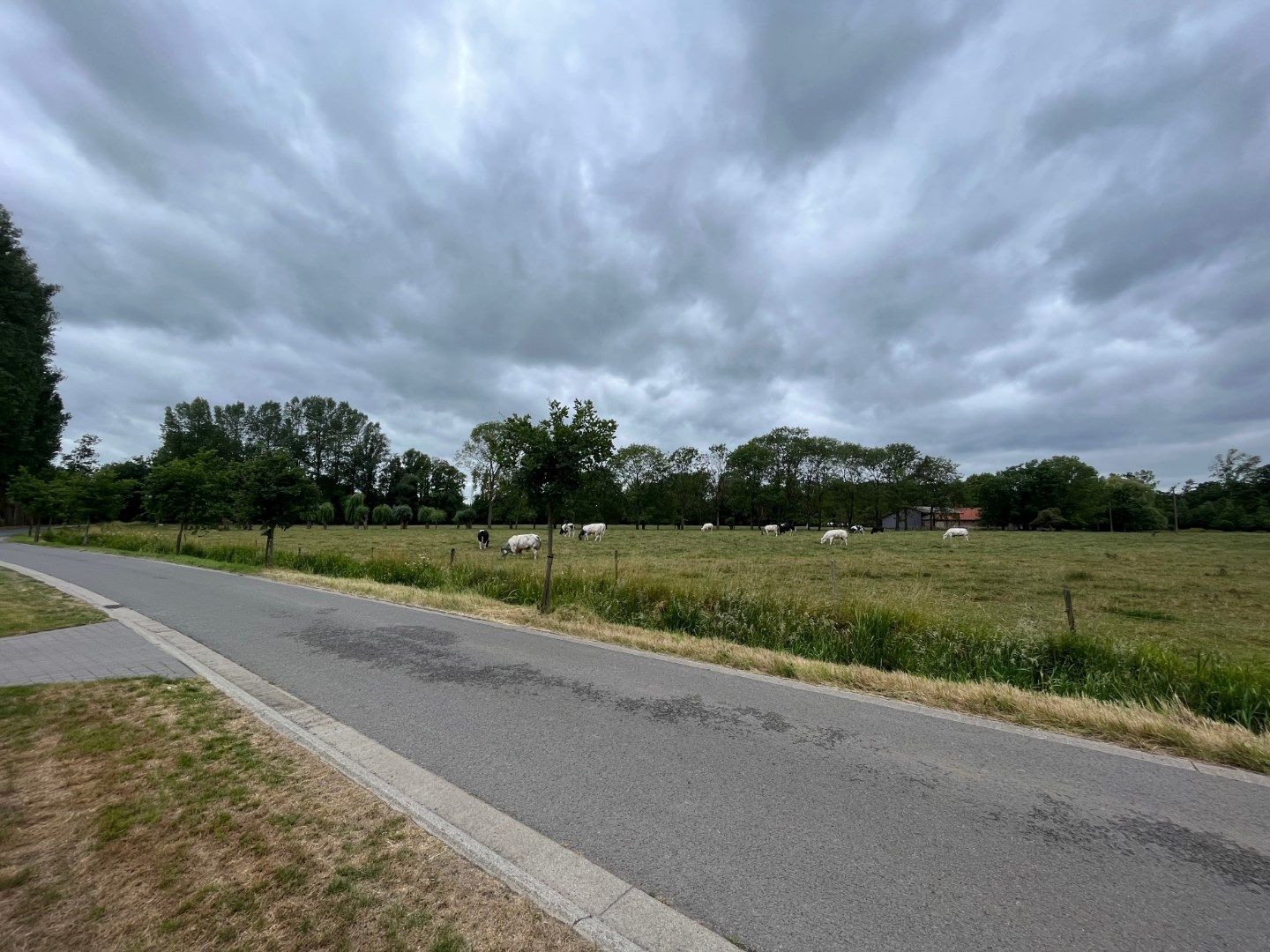 Ruime woning in het groene Zevergem, vlakbij Gent foto 33