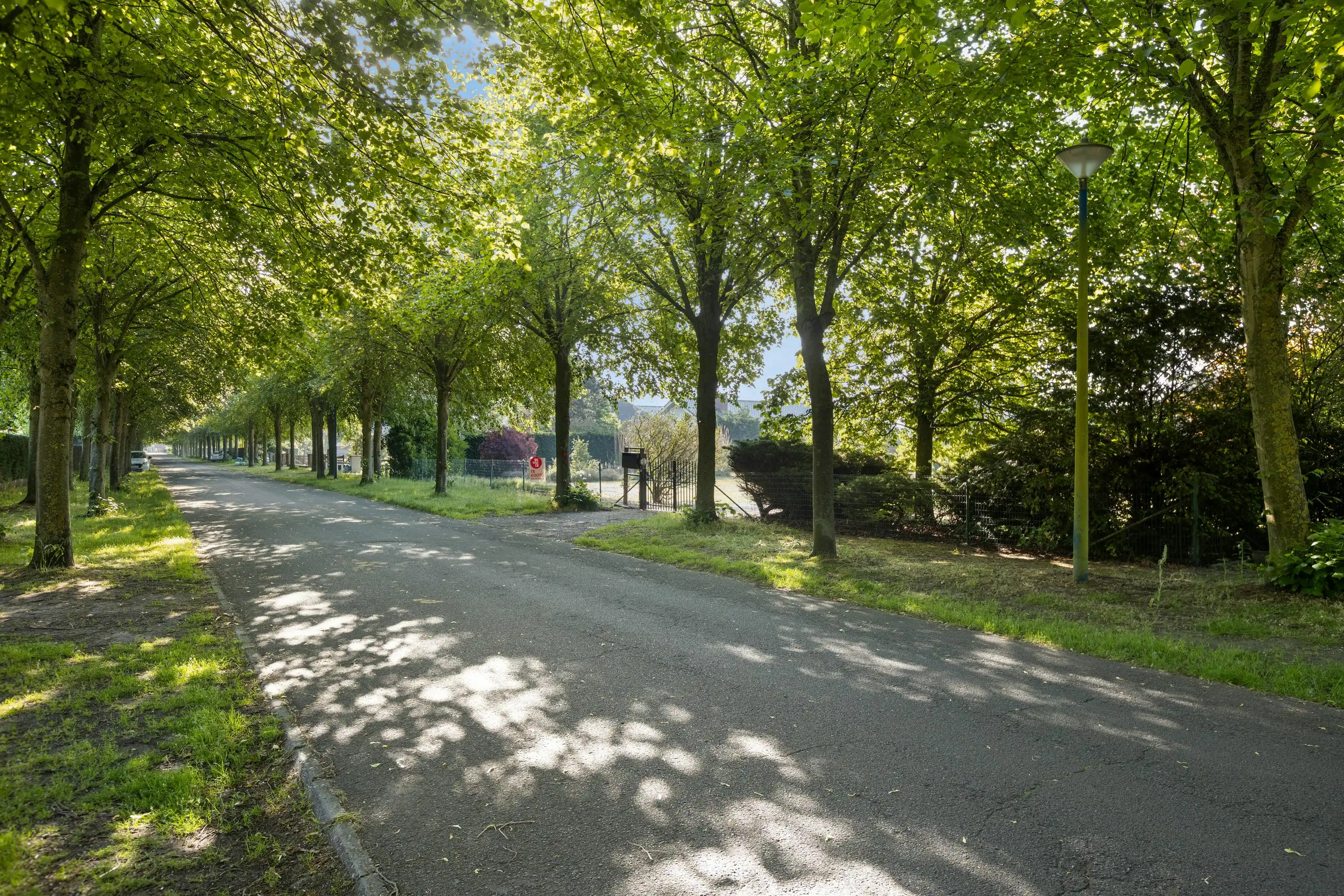 Gelijkvloerse villa op een perceel van maar liefst 2 342m² foto 26