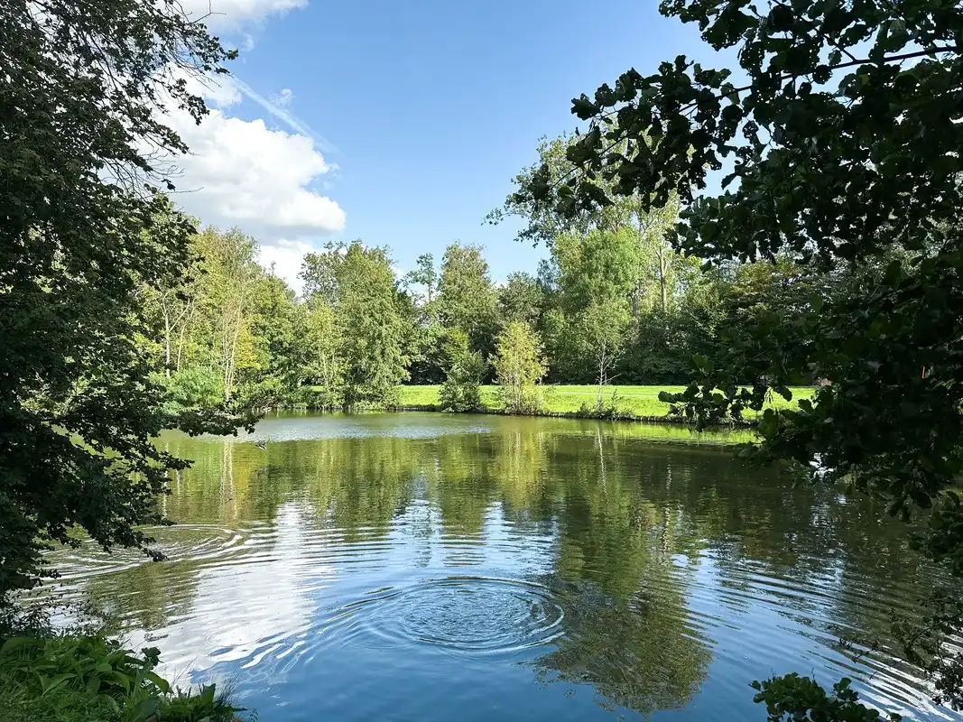 Energiezuinige nieuwbouwwoning te Merelbeke foto 13